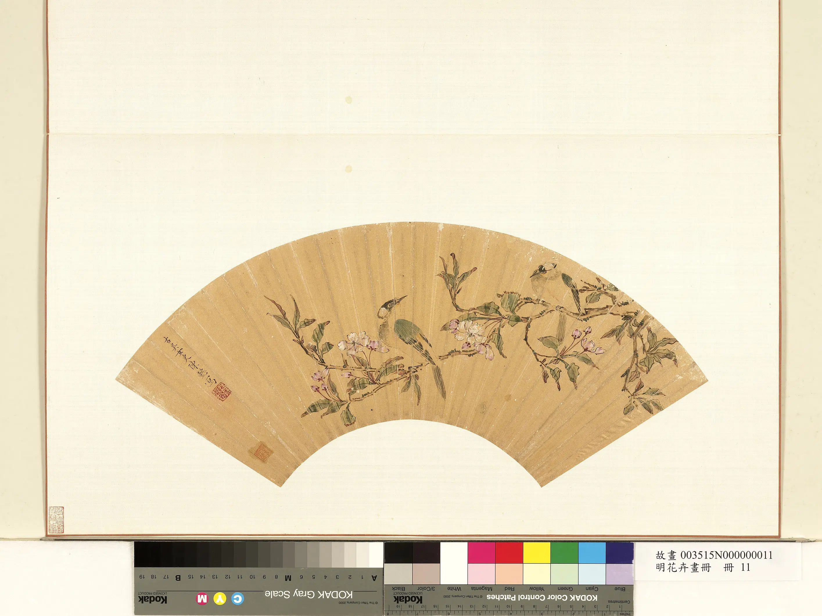 《花卉画册-2》 第5张