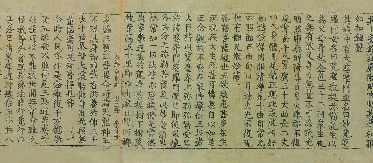 金朝【佚名】《佛说弥勒下生成佛经佛说弥勒来时经》 第10张