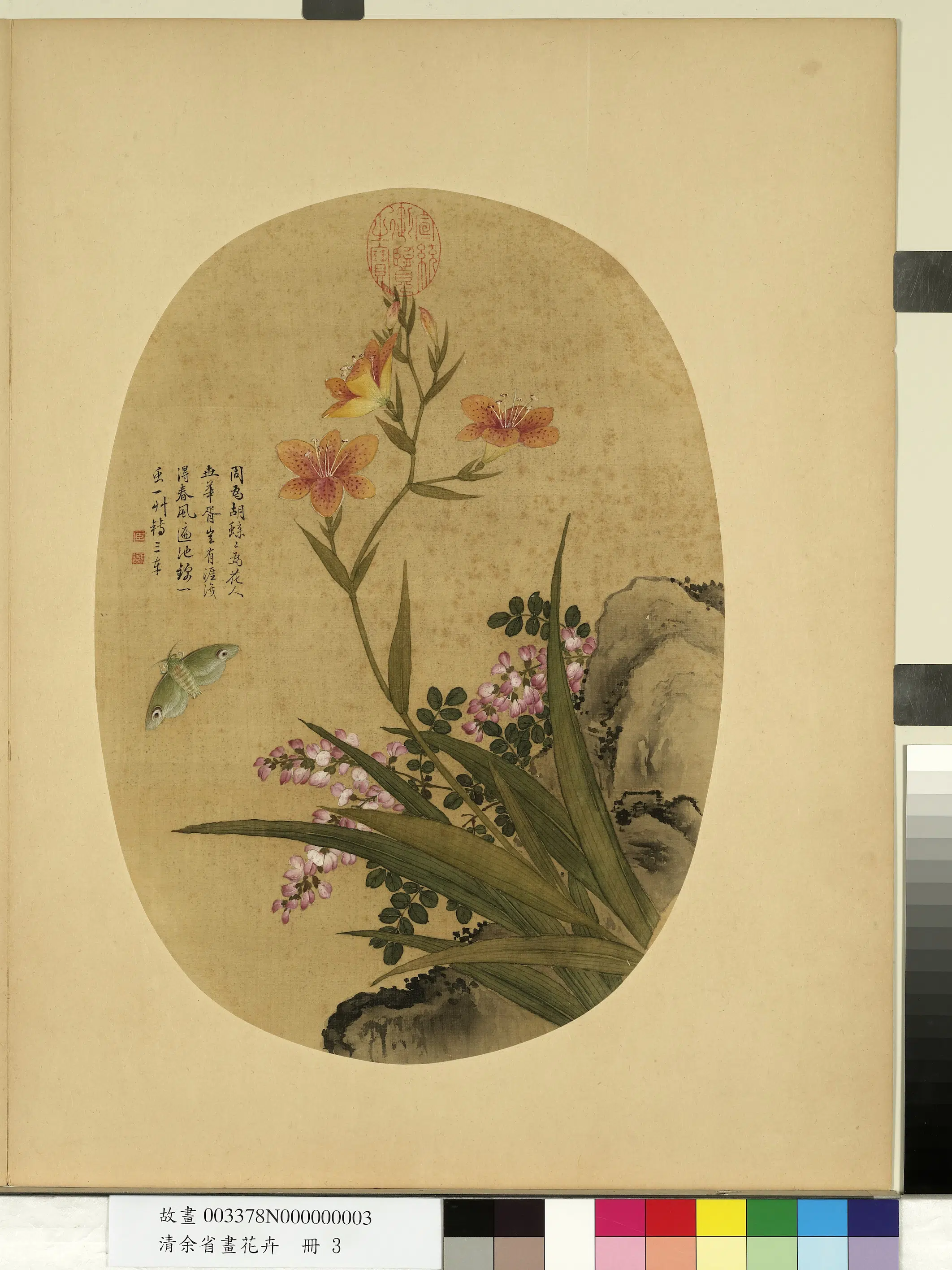清代【余省】《画花卉册-蝴蝶花遍地锦》
