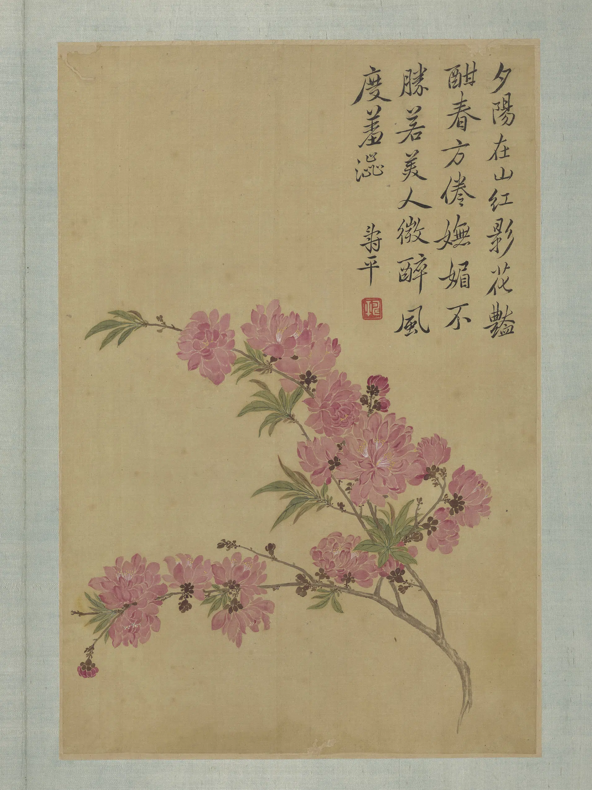 清代【恽寿平】《画花卉册-碧桃》
