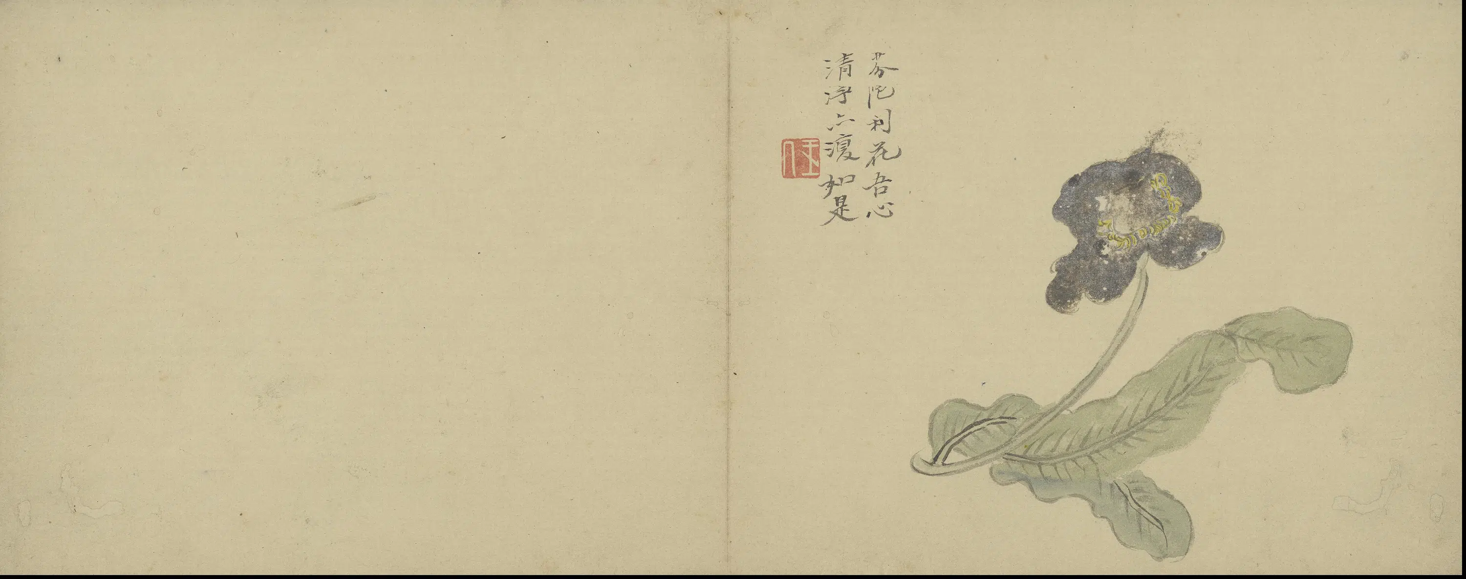 清代【陈撰】《花卉图册》 第9张