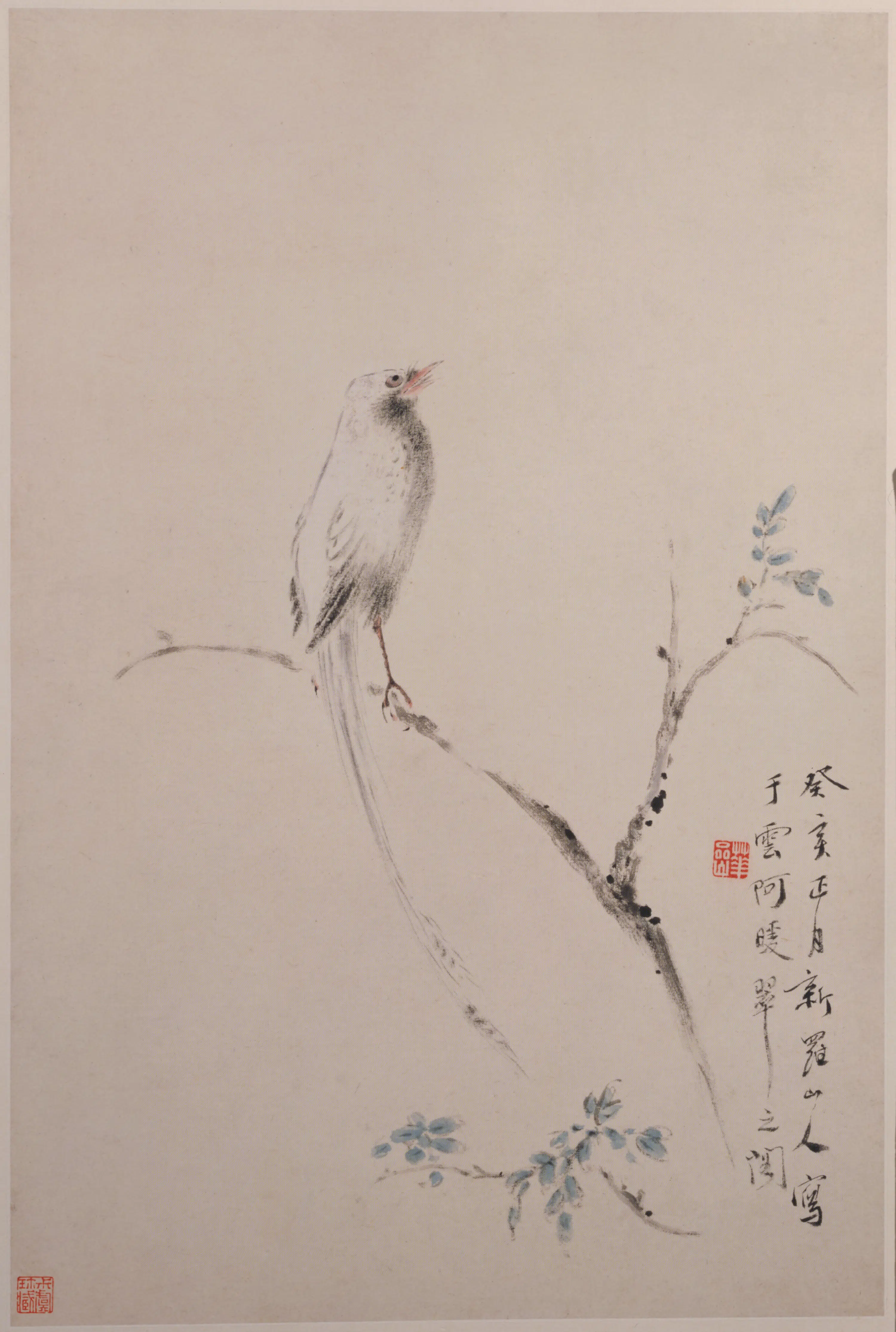 清代【华喦】《花鸟册-1(8开)》 第8张 清代【华喦】《花鸟册-1(8开)》 第8张