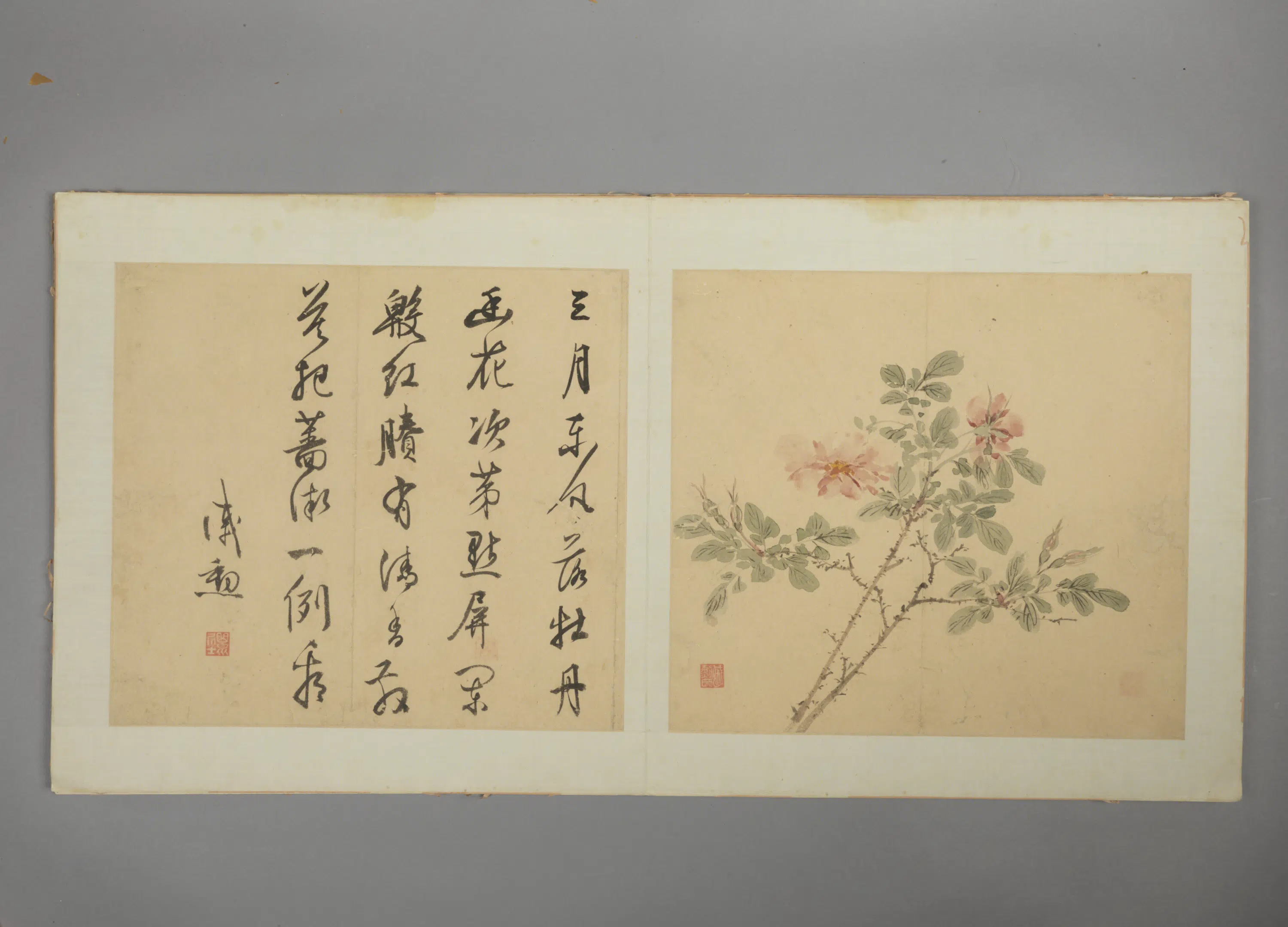 明朝【戚勋】《花卉册》 第6张