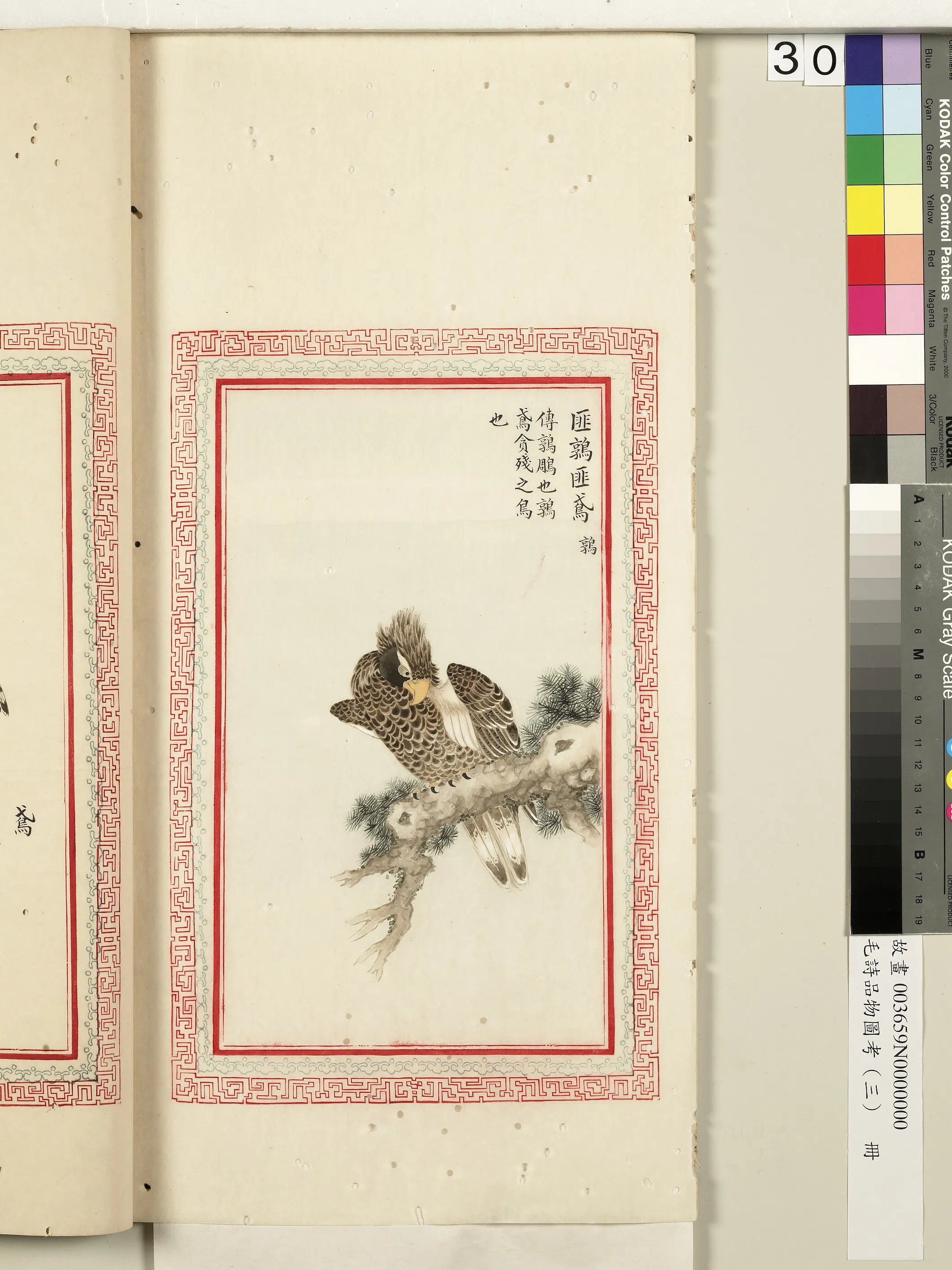 清代《毛诗品物图考(三)册-2》 第9张 清代《毛诗品物图考(三)册-2》 第9张