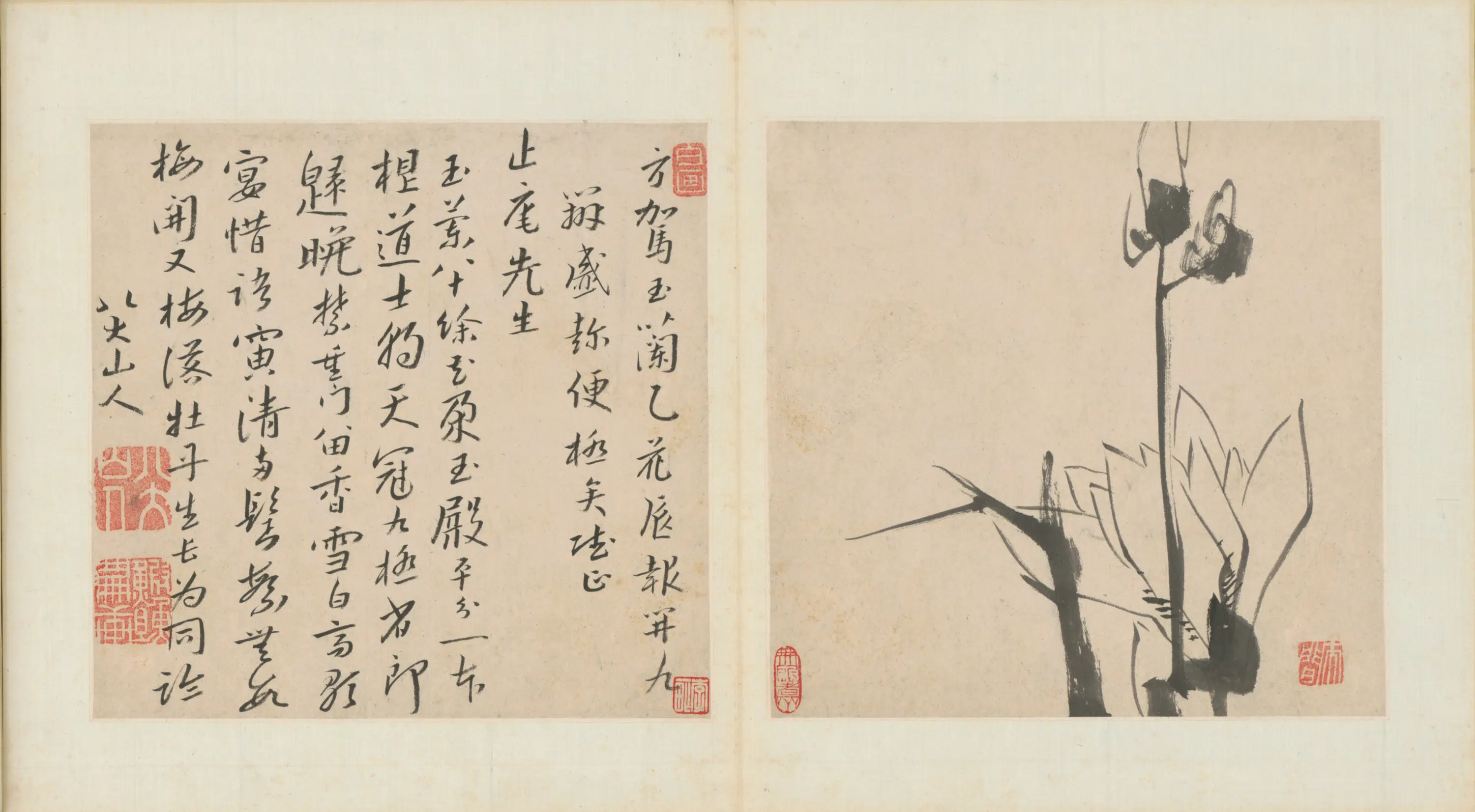 清代【朱耷】《杂画册（8开）》