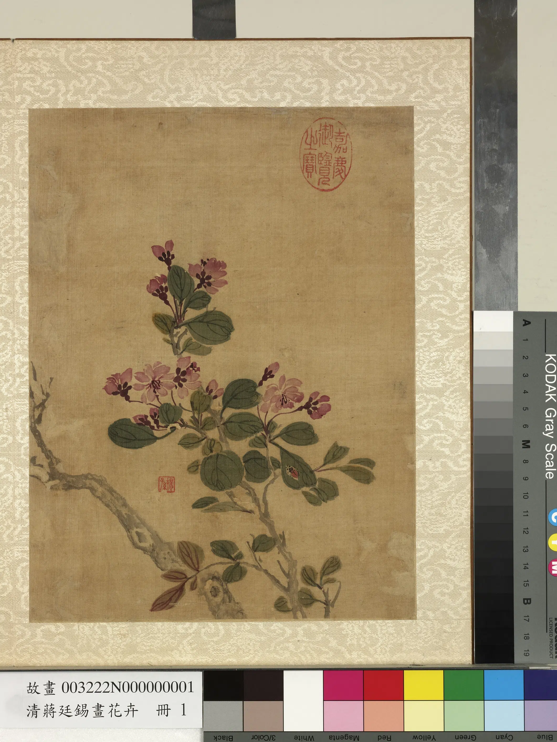清代【蒋廷锡】《画花卉册》 第5张