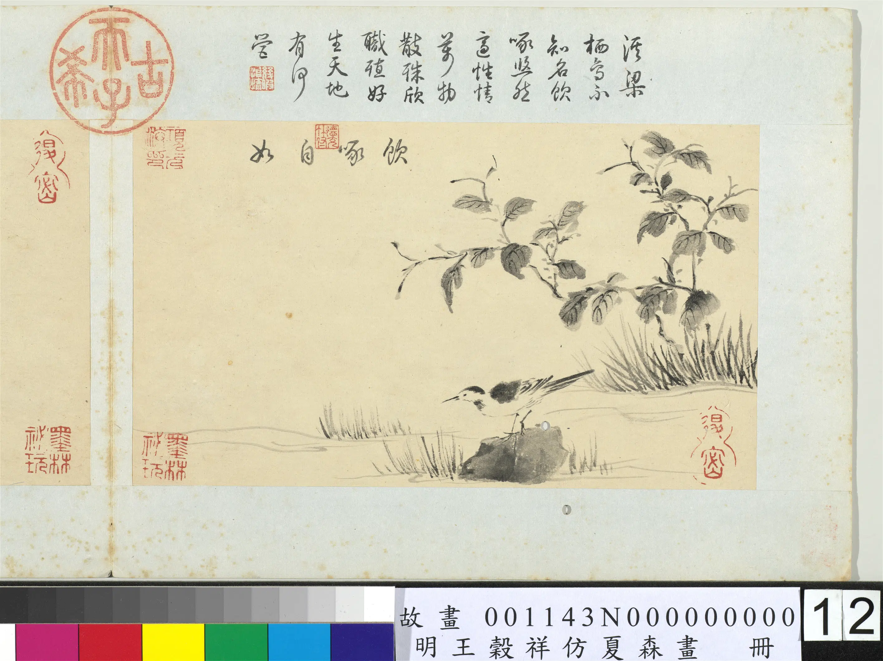 明朝【王谷祥（王穀祥）】《仿夏森画册-饮啄自如》