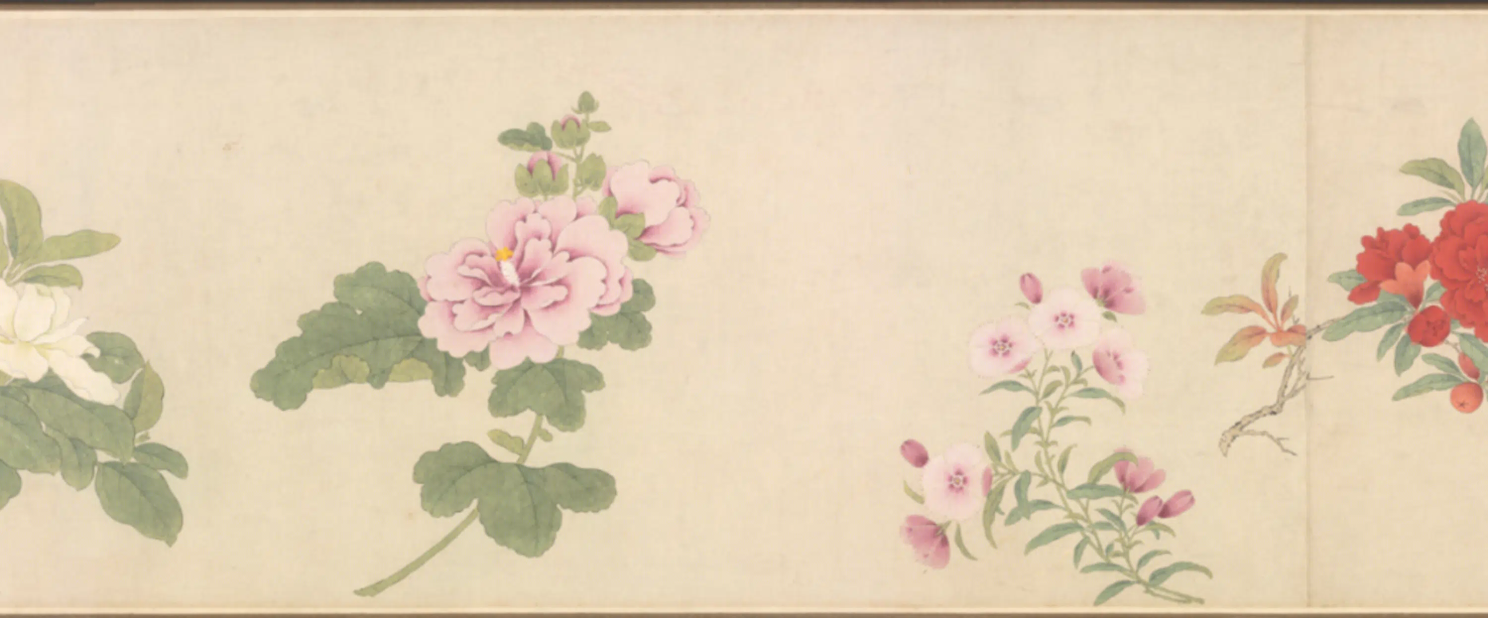 清代【朱昶】《花卉图卷》 第4张