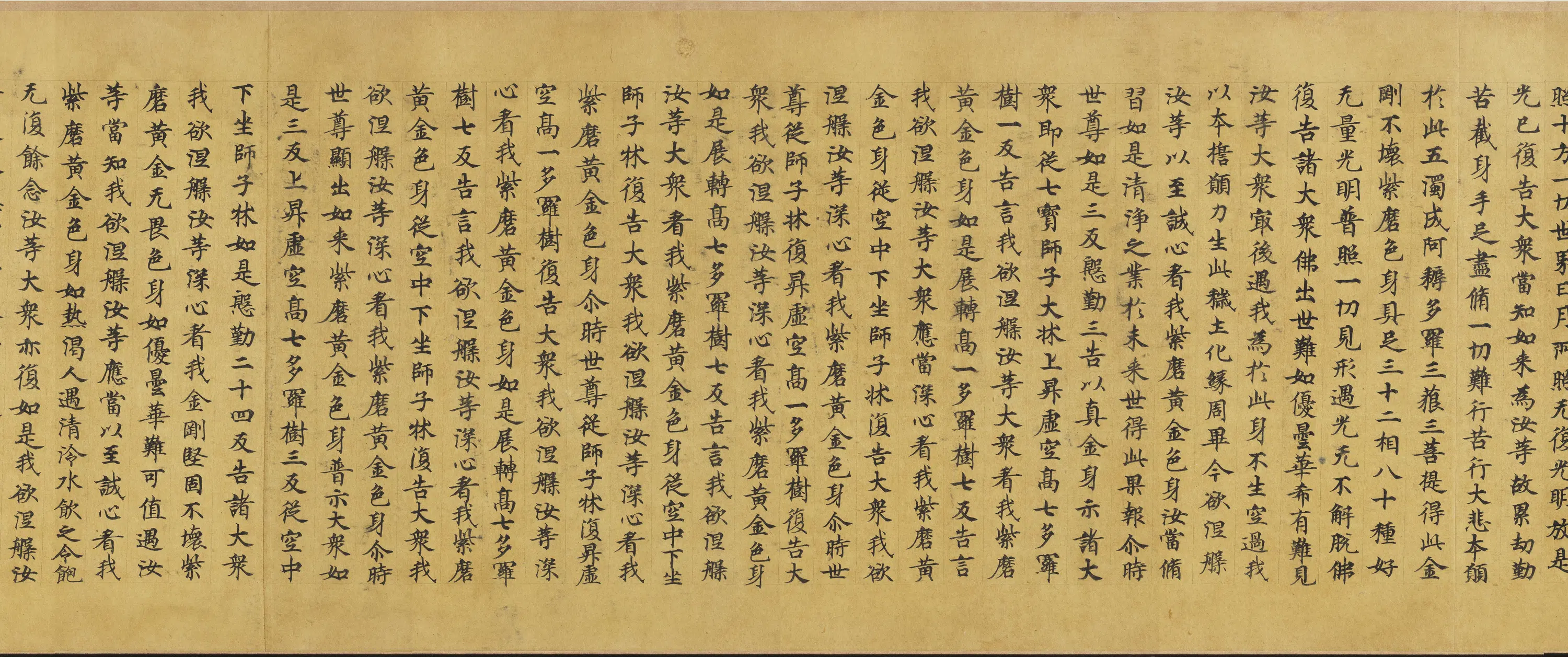唐朝《唐人写大般涅盘经卷卌一卷》 第14张