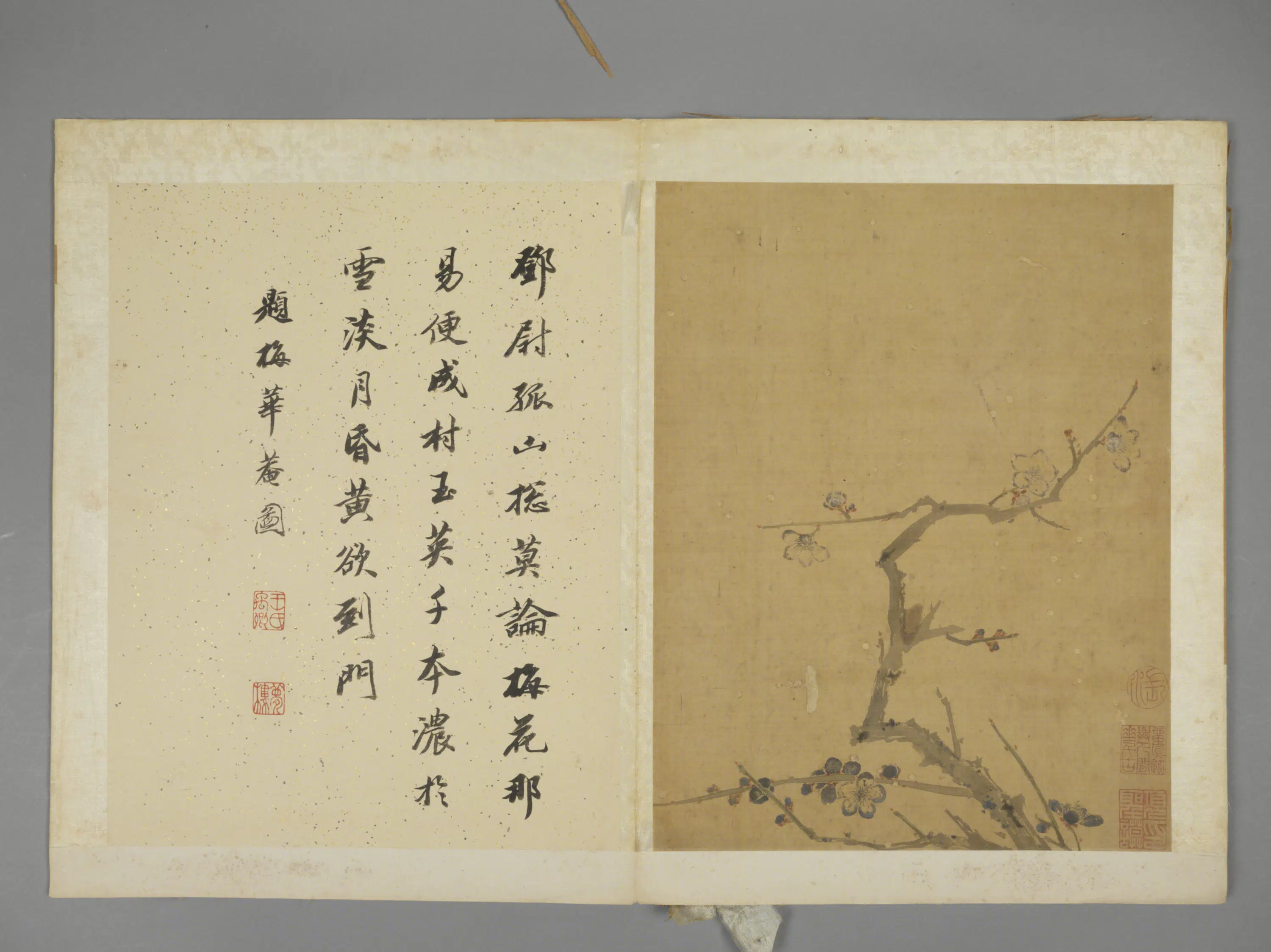 明朝【项圣谟】《花卉册（7开）》 第6张