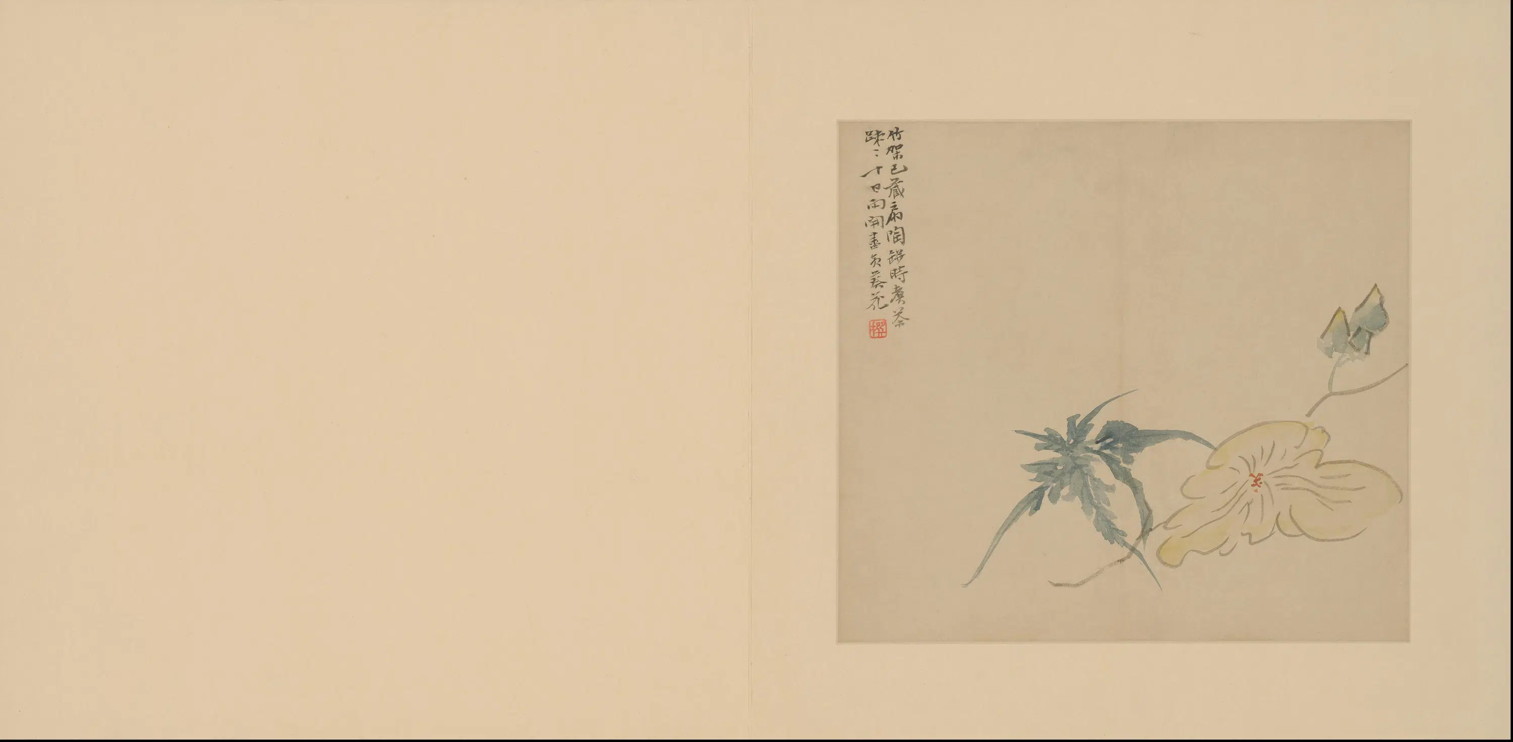清代【陈撰】《花卉册》 第12张