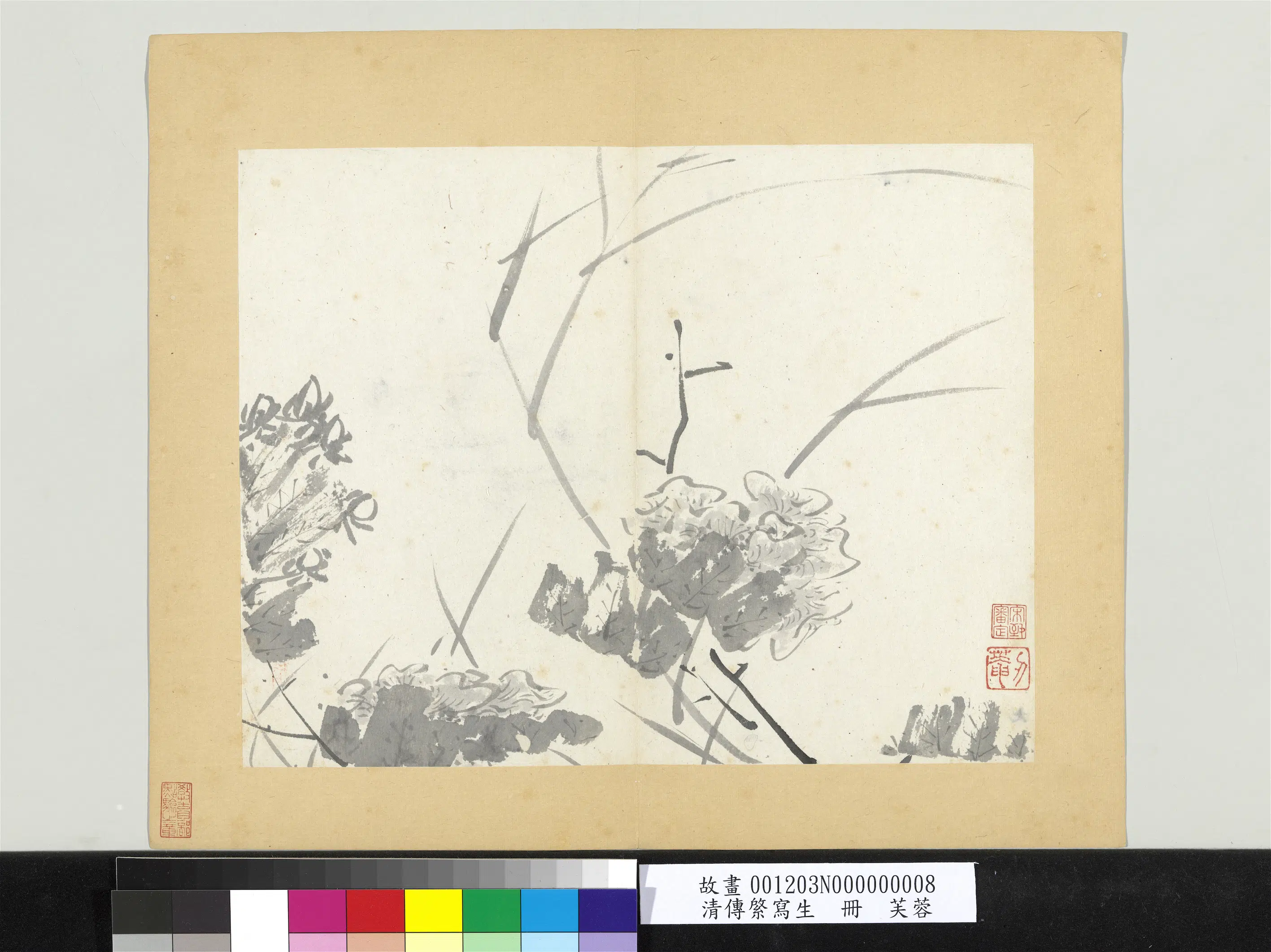 清代【朱耷】《传綮写生册-芙蓉》