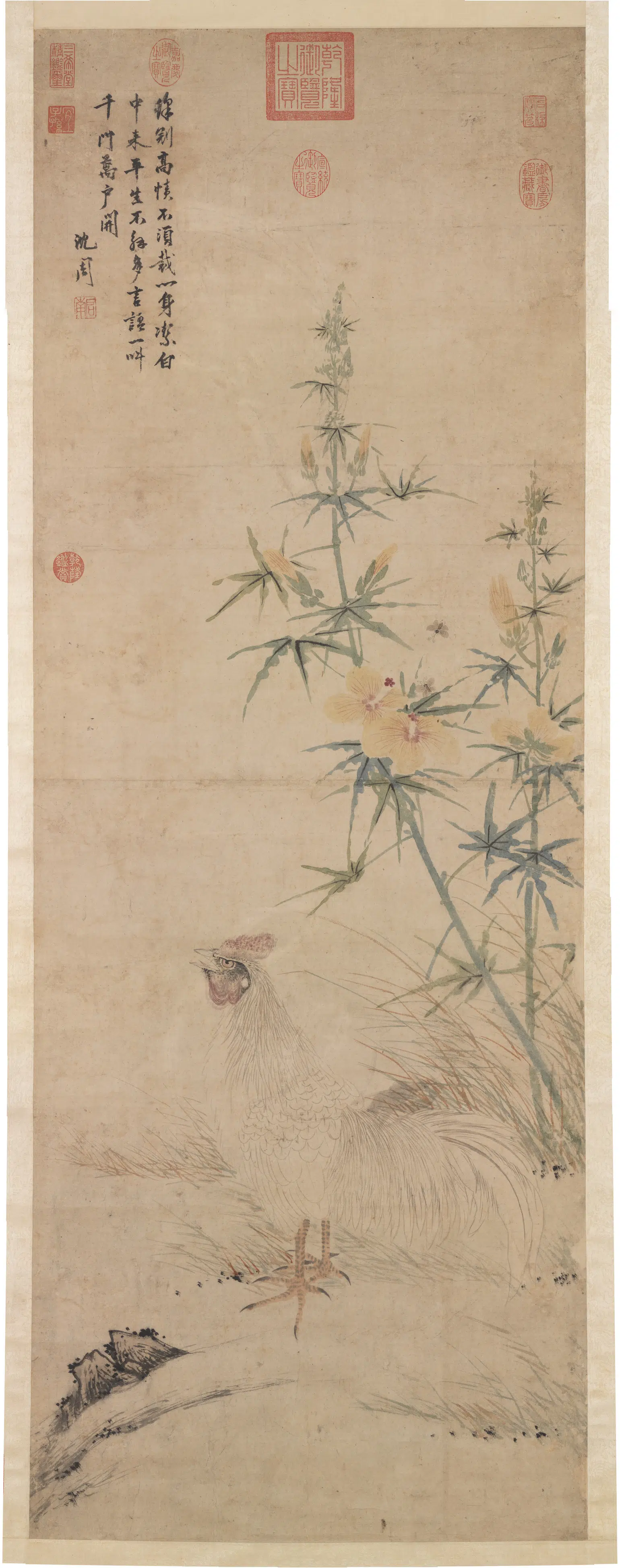 明朝【沈周】《画鸡图轴》