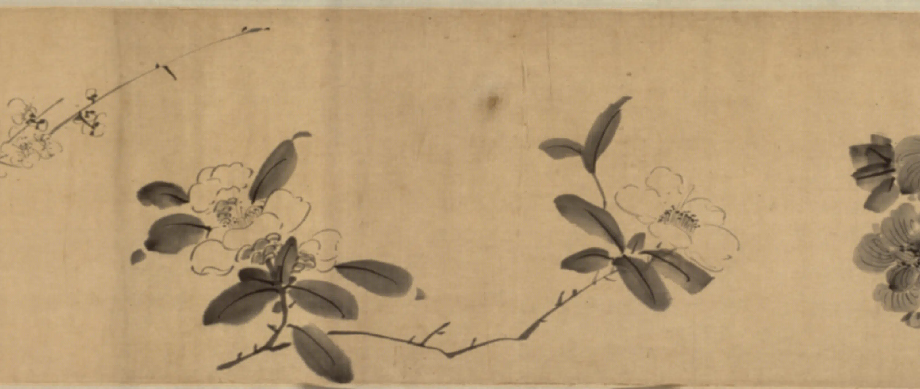 明朝【李因】《花鸟图卷》 第5张
