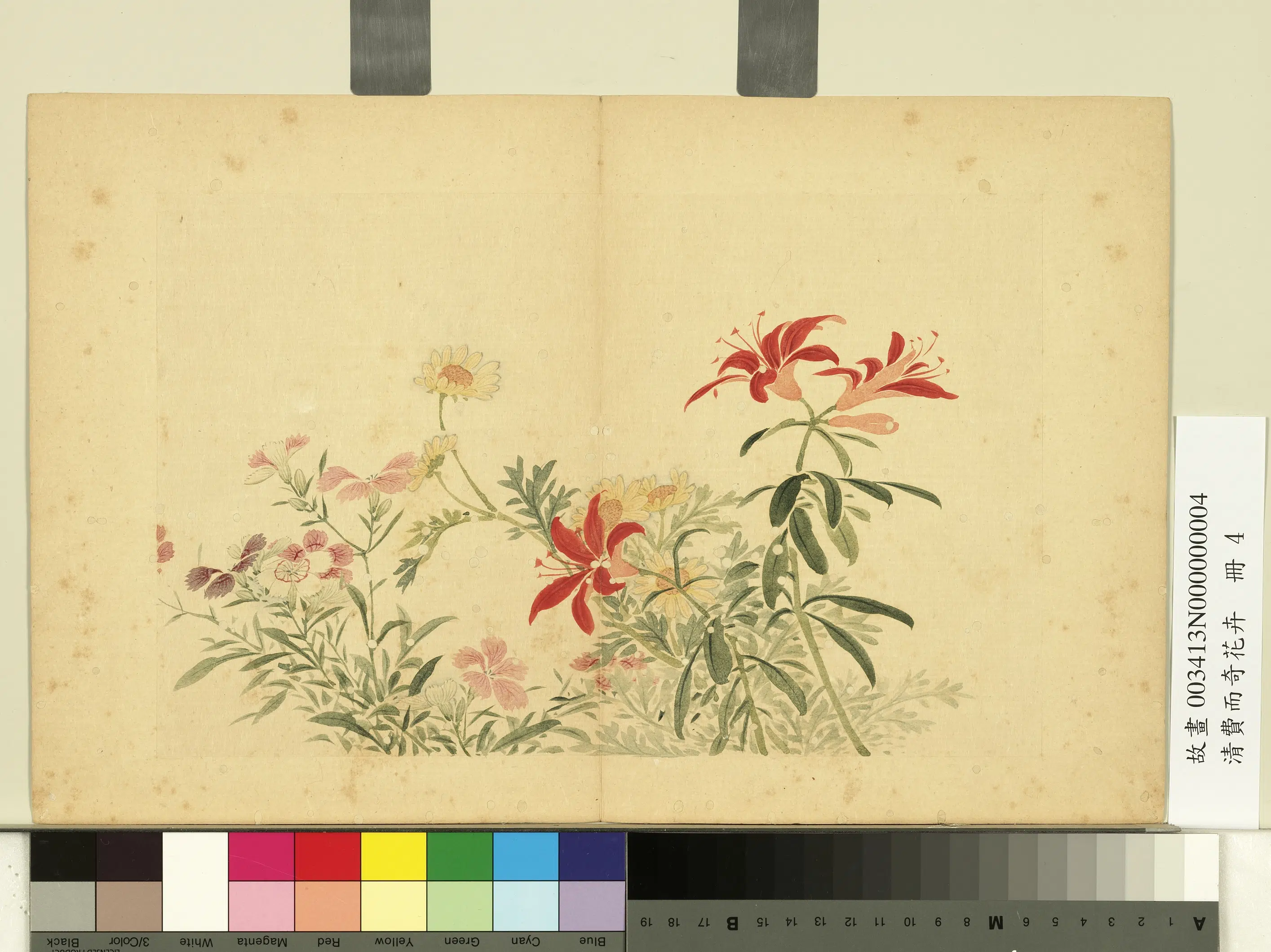清代【费而奇】《花卉册》 第4张