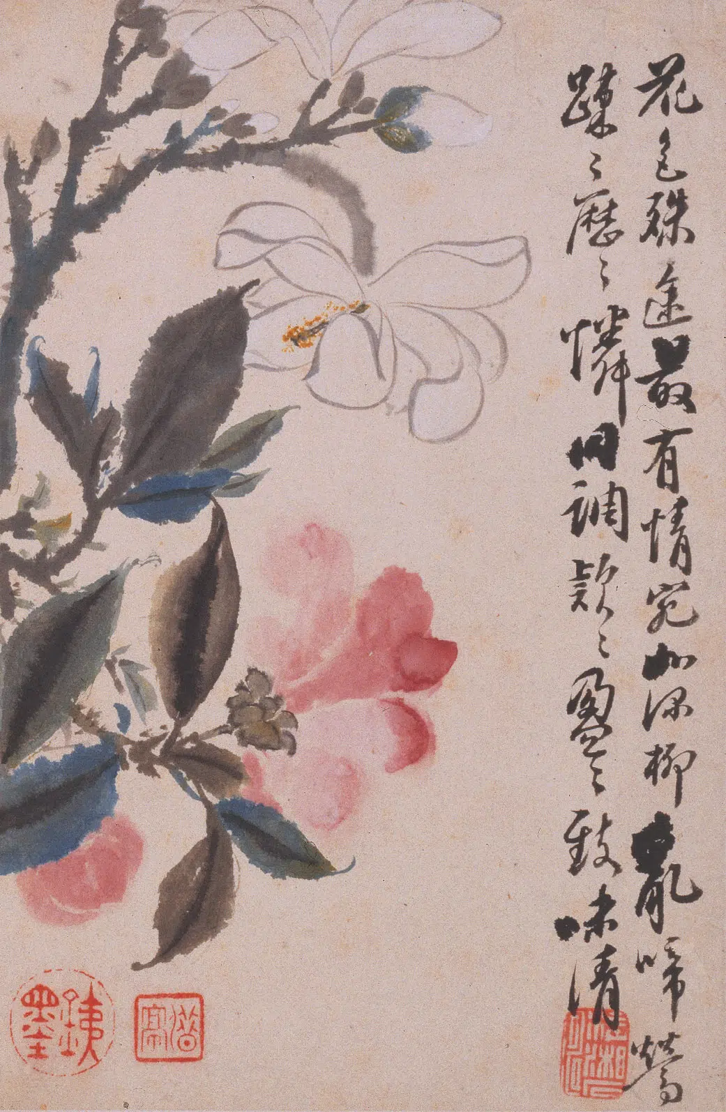清代【石涛】《花卉册》 第10张 清代【石涛】《花卉册》 第10张