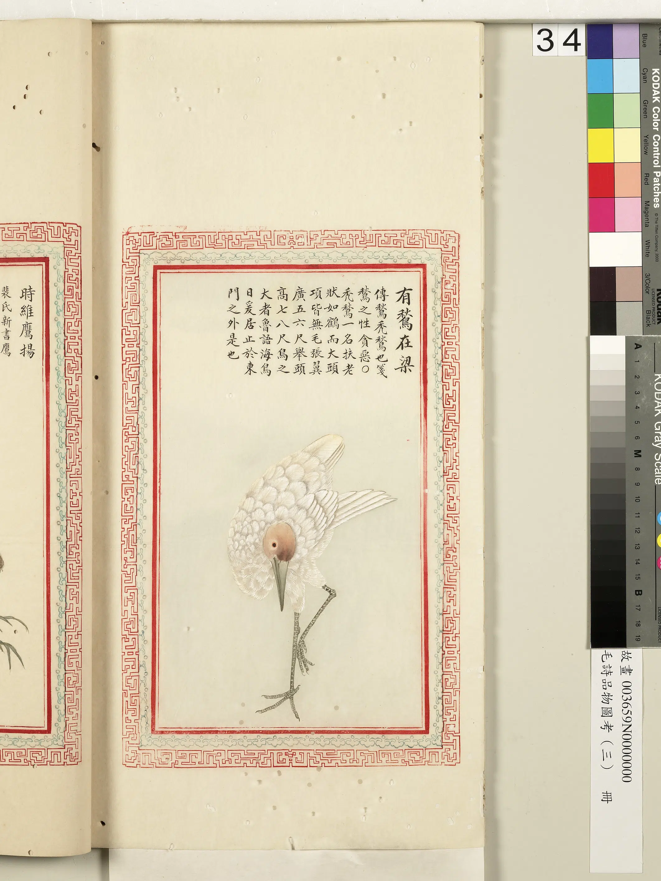 清代《毛诗品物图考(三)册-2》 第28张 清代《毛诗品物图考(三)册-2》 第28张