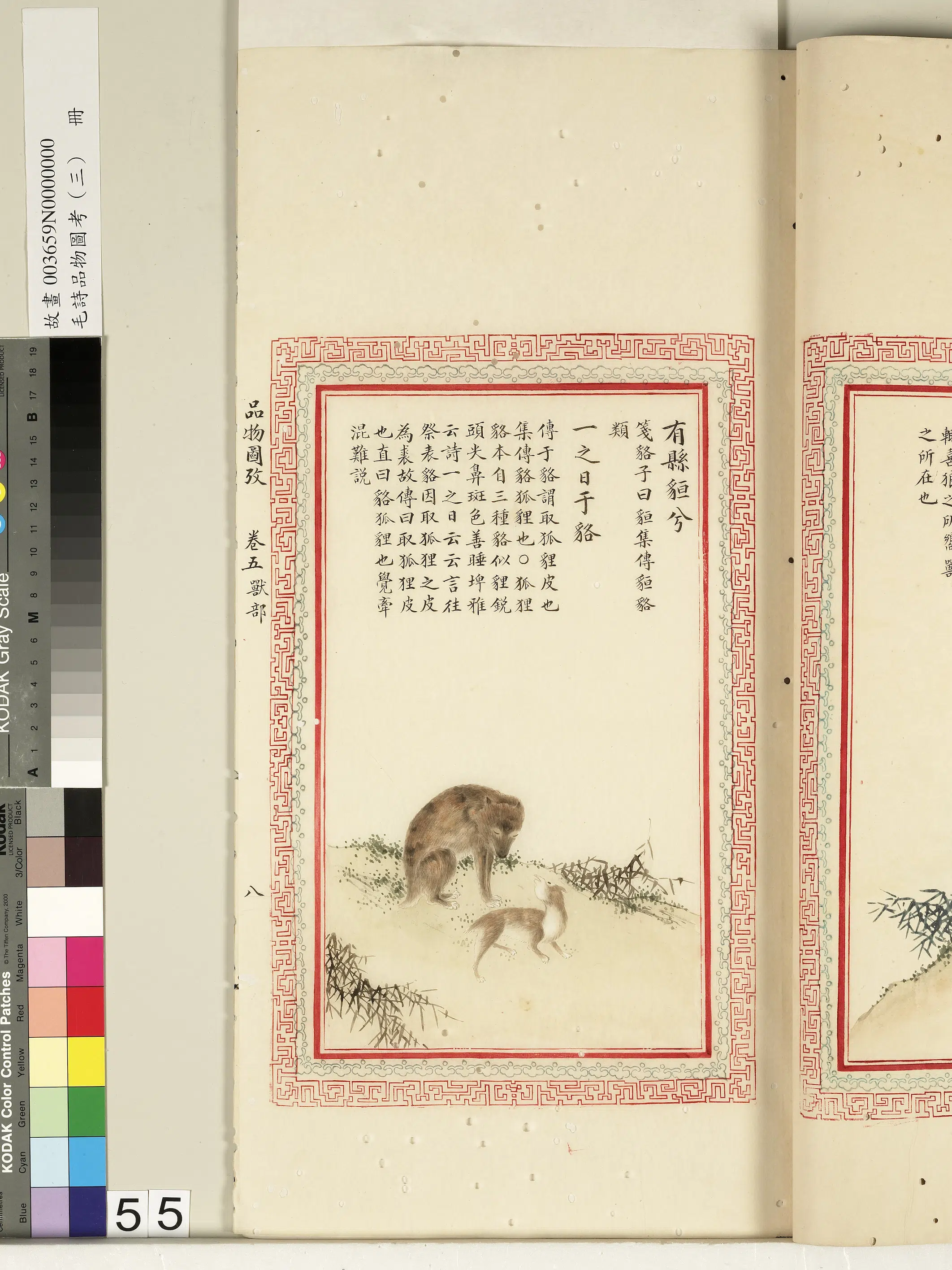 清代《毛诗品物图考(三)册-2》 第25张 清代《毛诗品物图考(三)册-2》 第25张