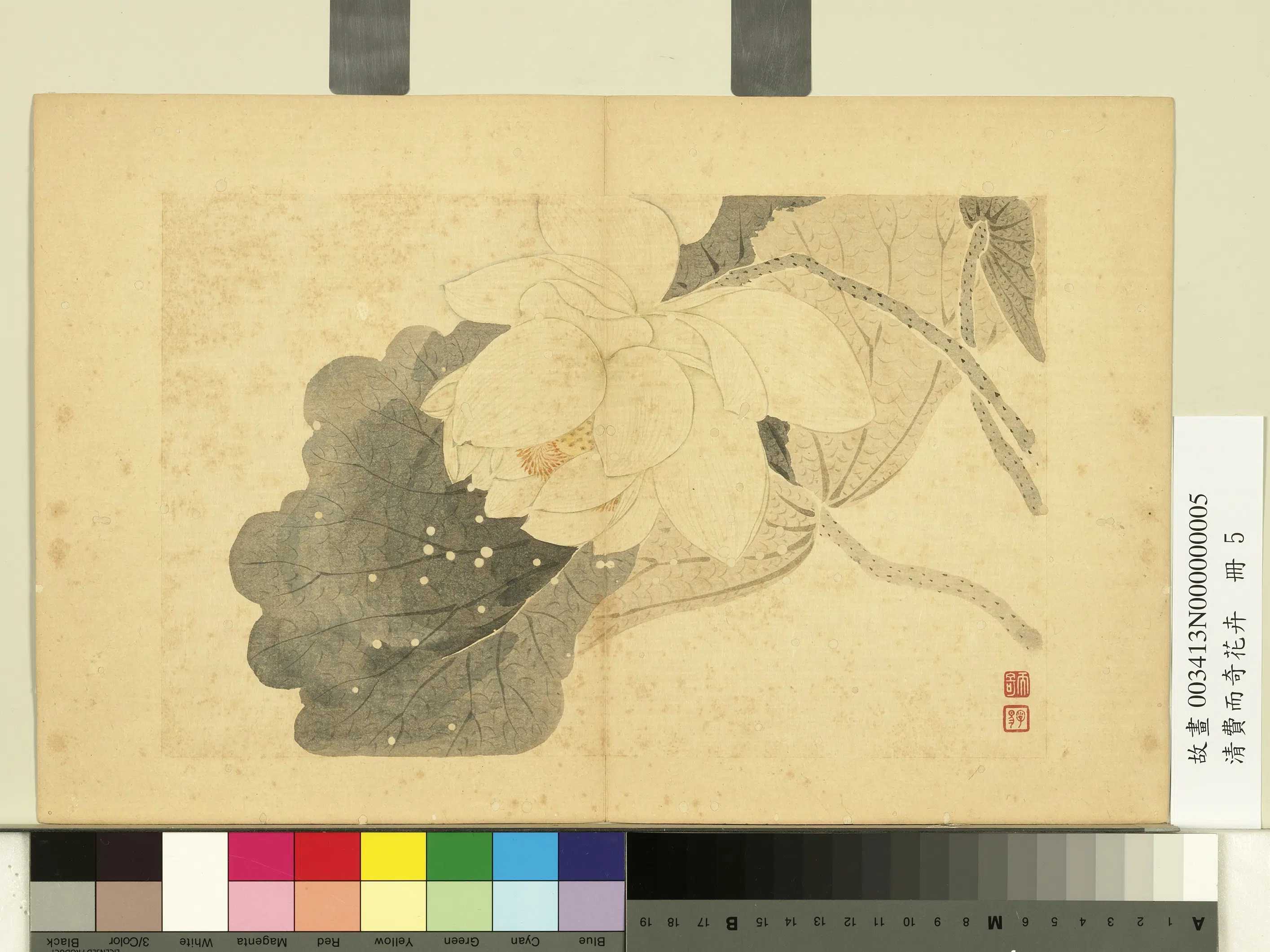 清代【费而奇】《花卉册-荷花》