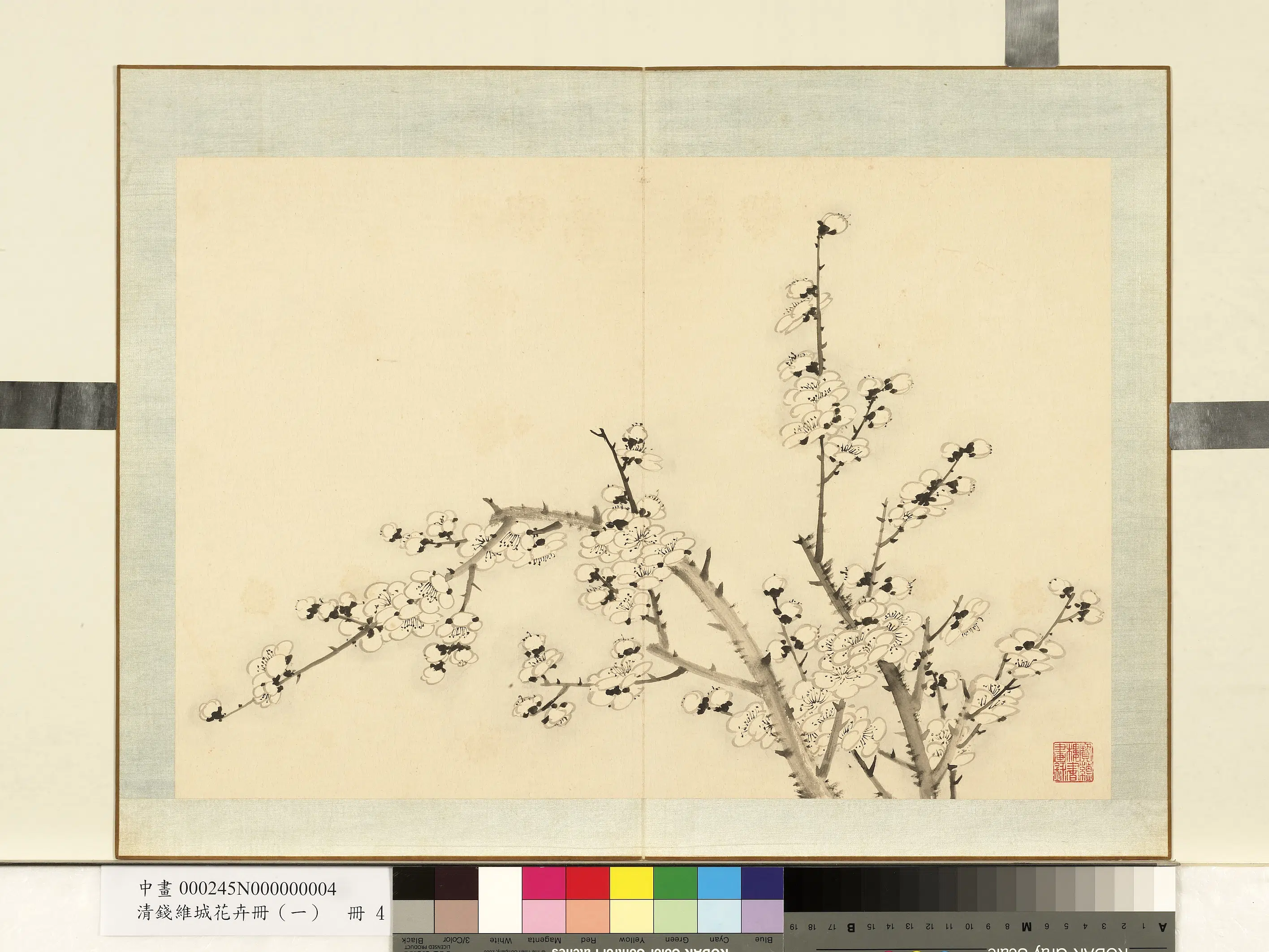 清代【钱维城】《花卉册（一）册-画梅之四》