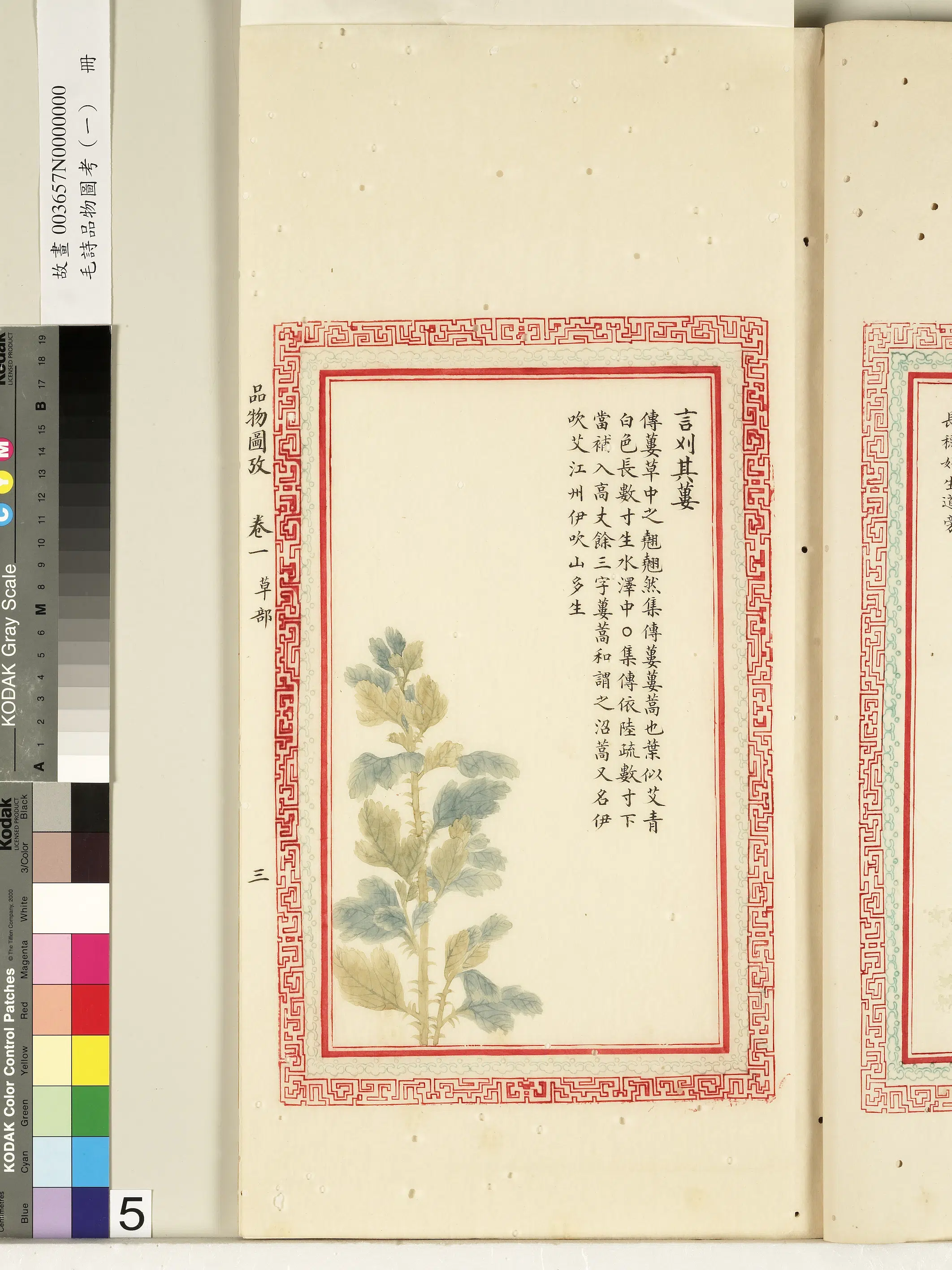 清朝【佚名】《毛诗品物图考（一）册-言刈其蒌-2》