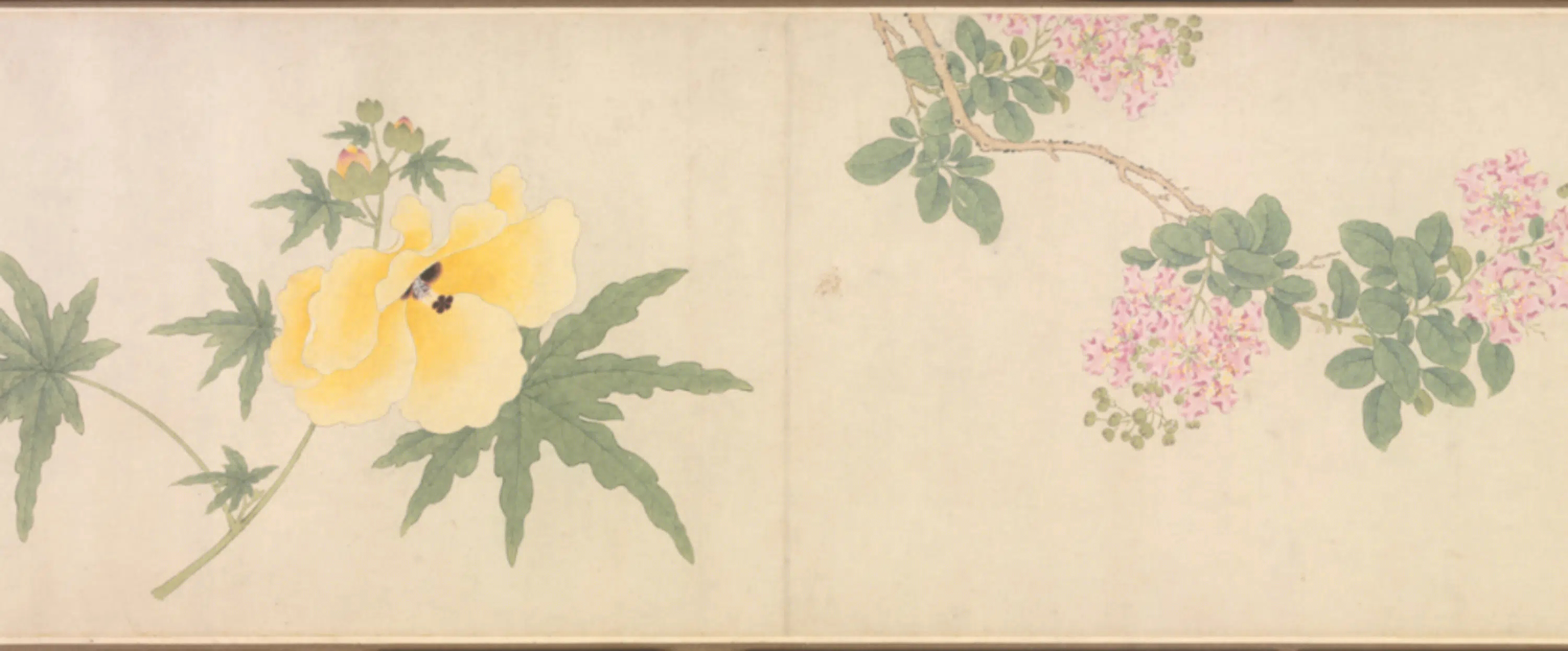 清代【朱昶】《花卉图卷》 第1张