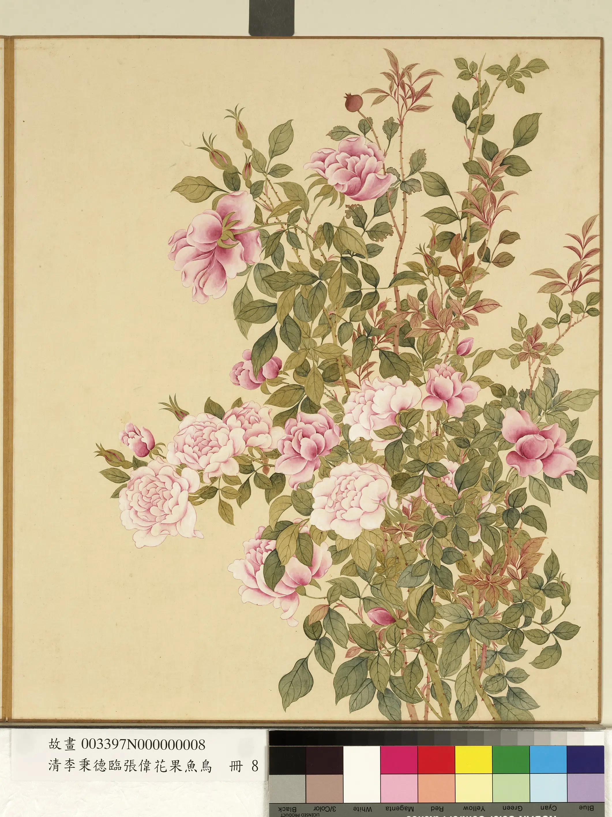 清代【李秉德】《临张伟花果鱼鸟册》 第7张