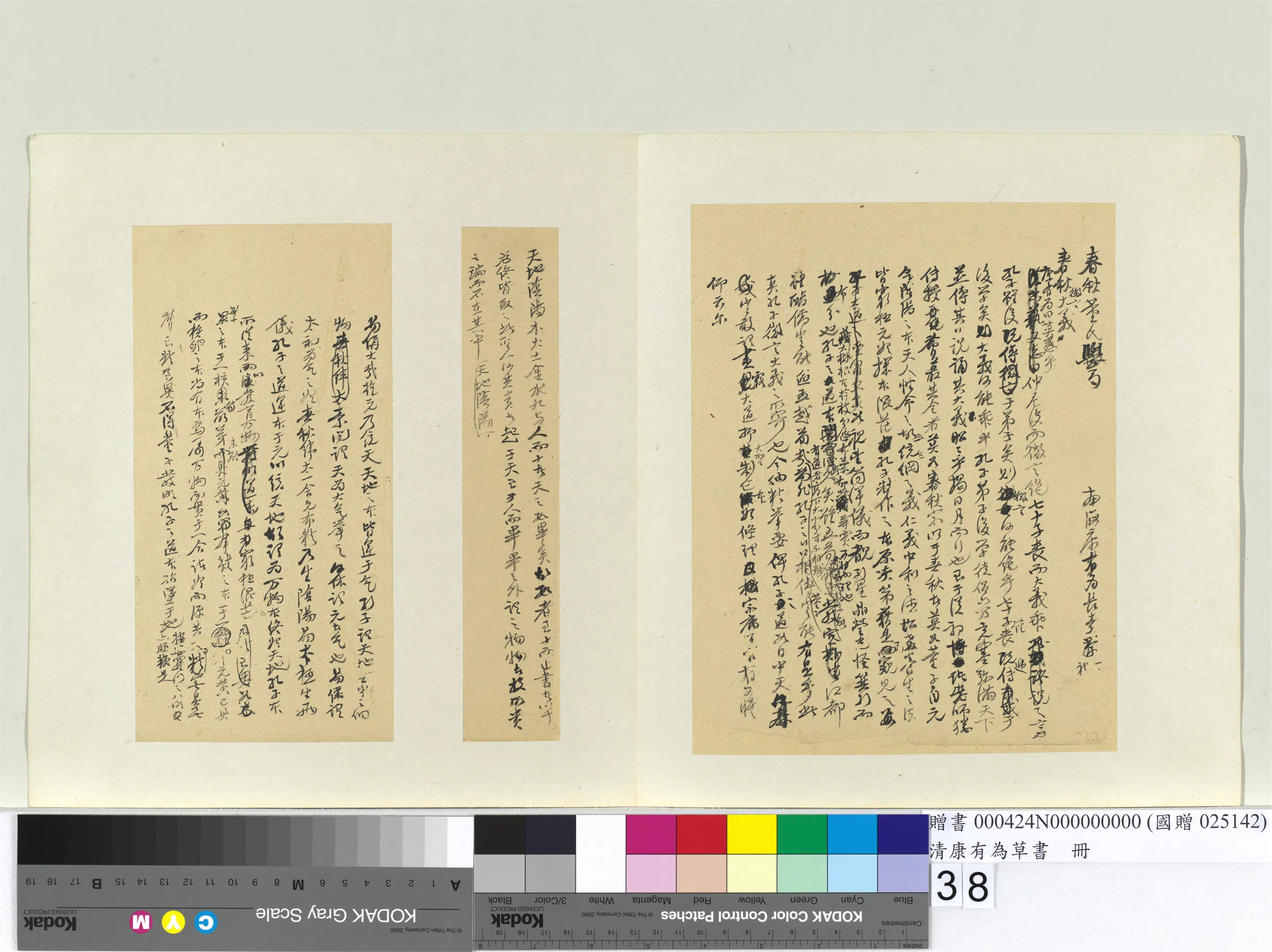 清代【康有为】《草书册》 第32张