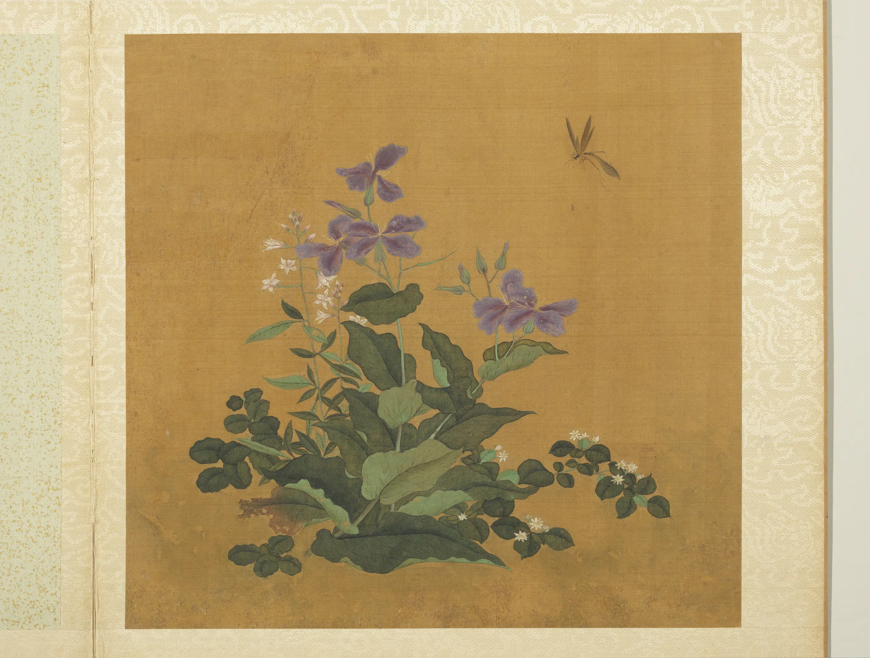 五代十国前后蜀【黄筌（荃）】《长春花鸟册》 第2张