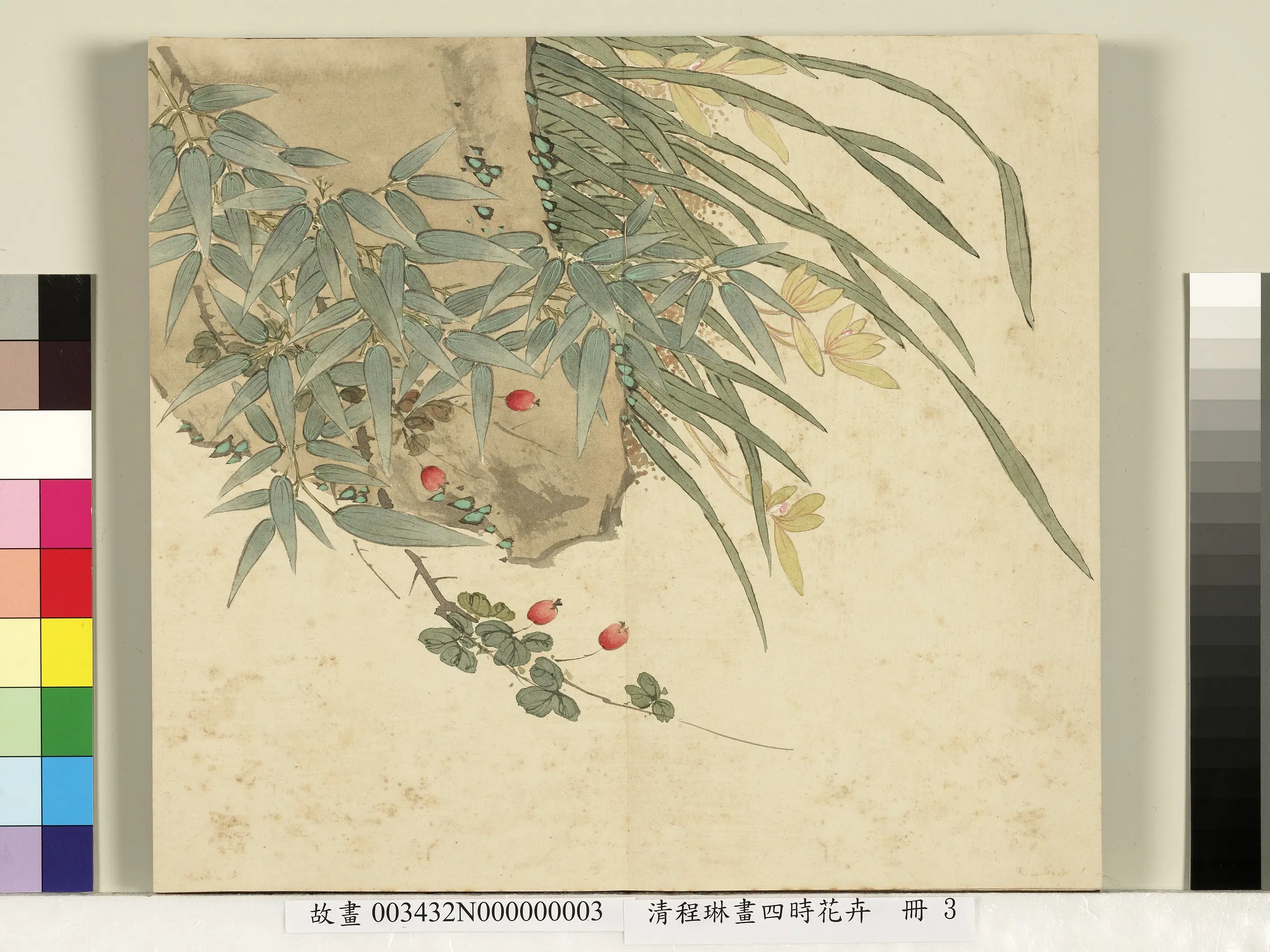 清代【程琳】《画四时花卉册-兰花》