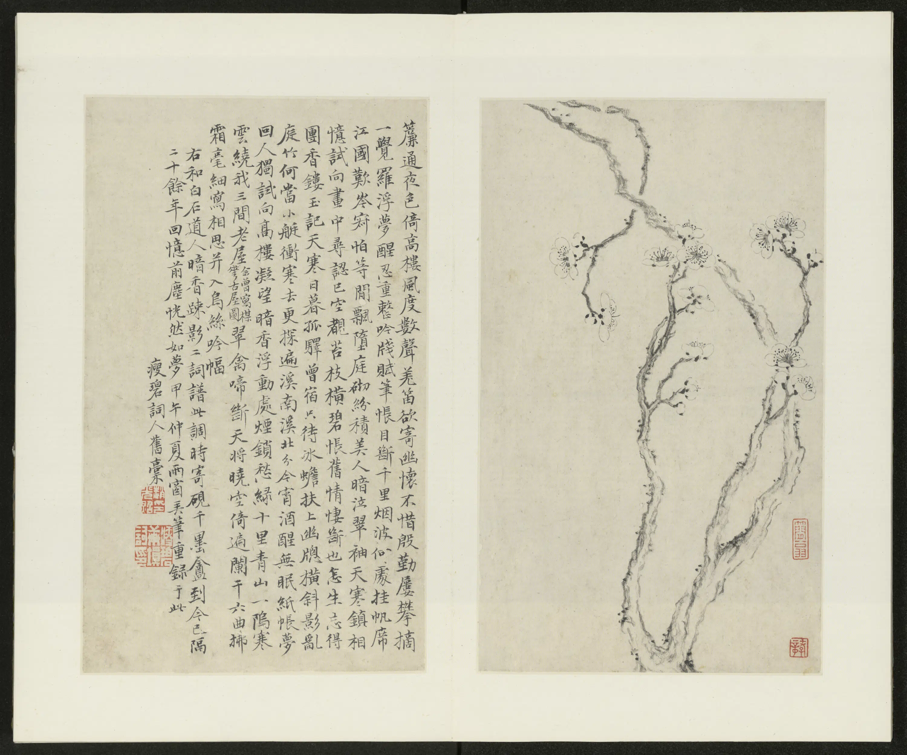清代【金俊明】《梅花图册-1》 第3张