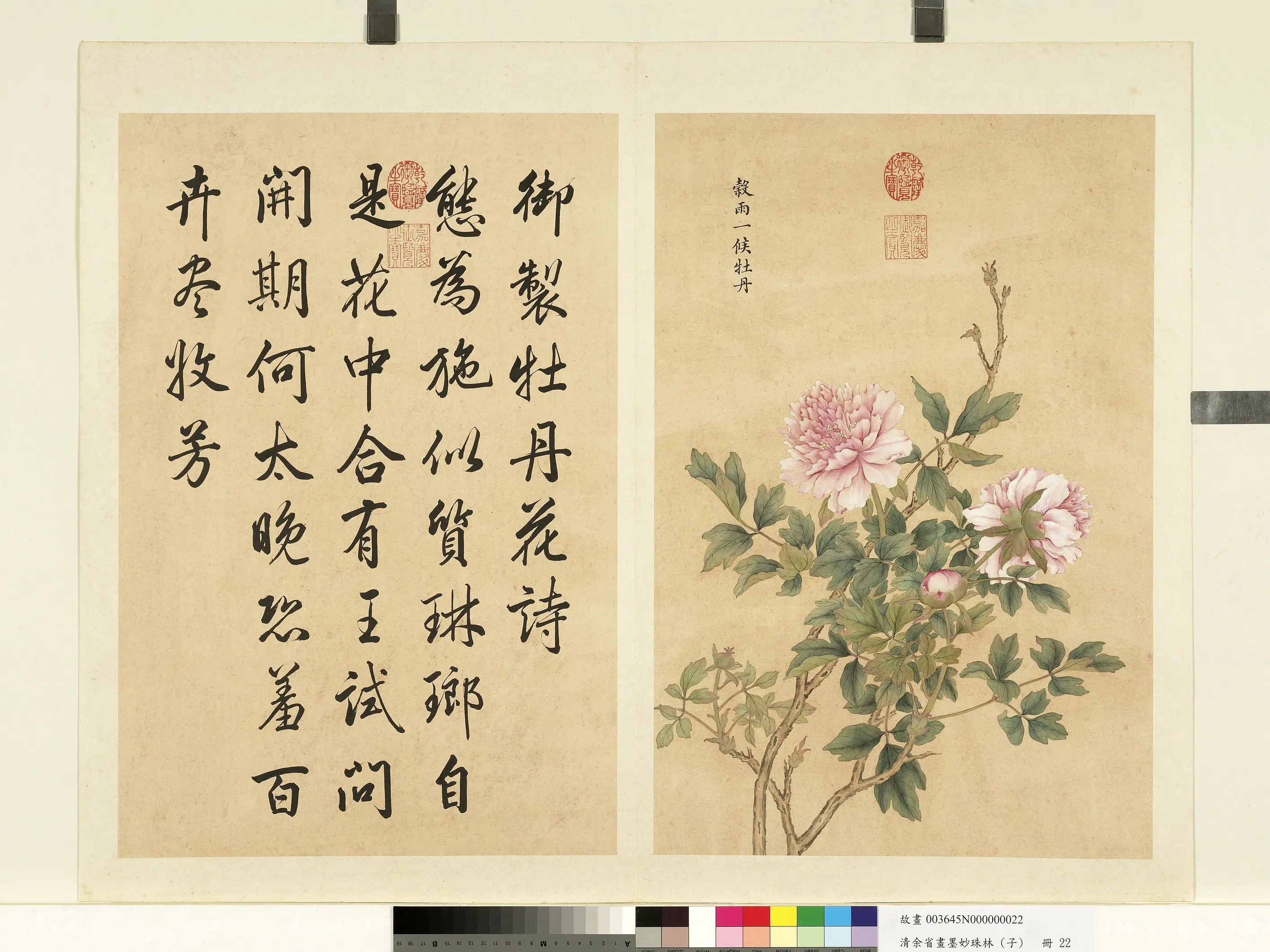 清代【余省】《画墨妙珠林（子）册-谷雨一候牡丹》