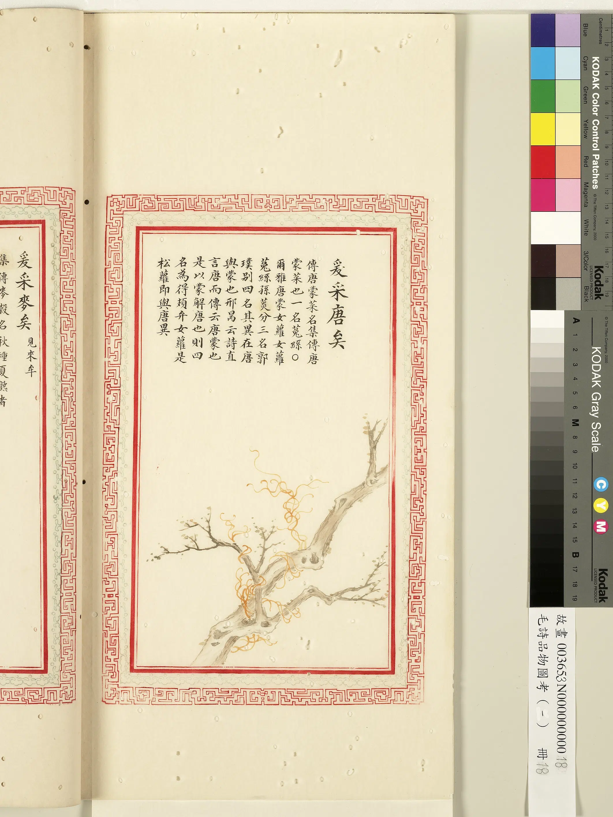 清朝【佚名】《毛诗品物图考(一)册-爰采唐矣-1》 第1张 清朝【佚名】《毛诗品物图考(一)册-爰采唐矣-1》 第1张