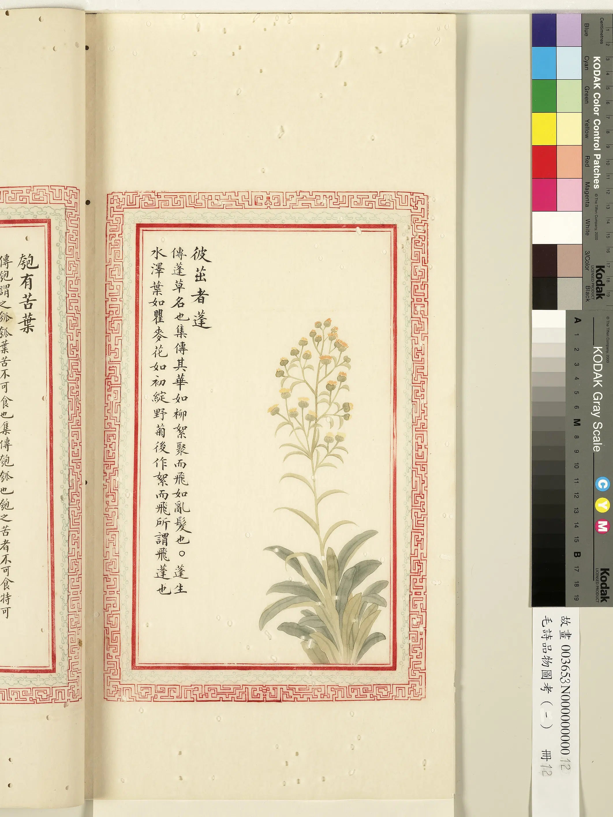 清代《毛诗品物图考(一)册-1》 第24张 清代《毛诗品物图考(一)册-1》 第24张