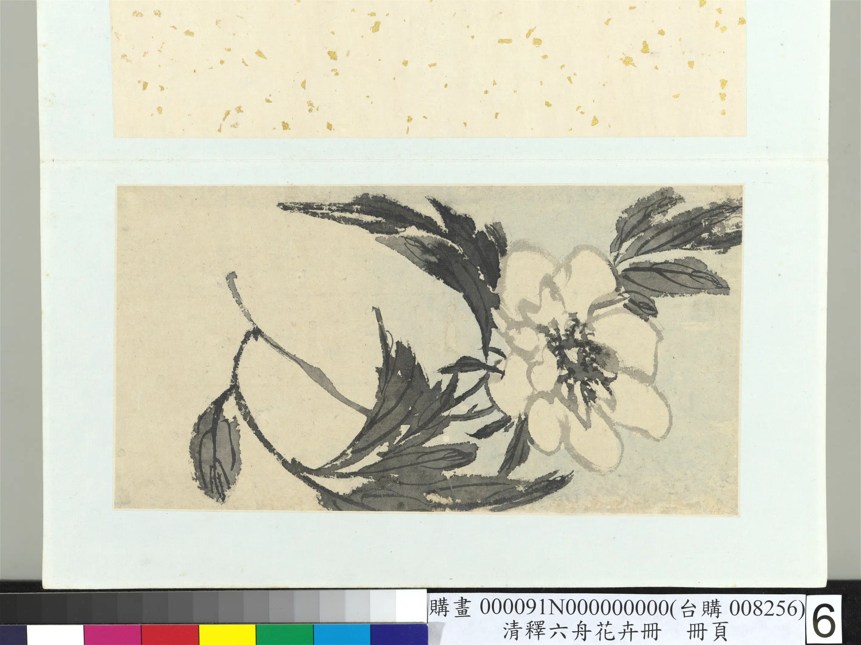 清代【释达受】《花卉册-六》
