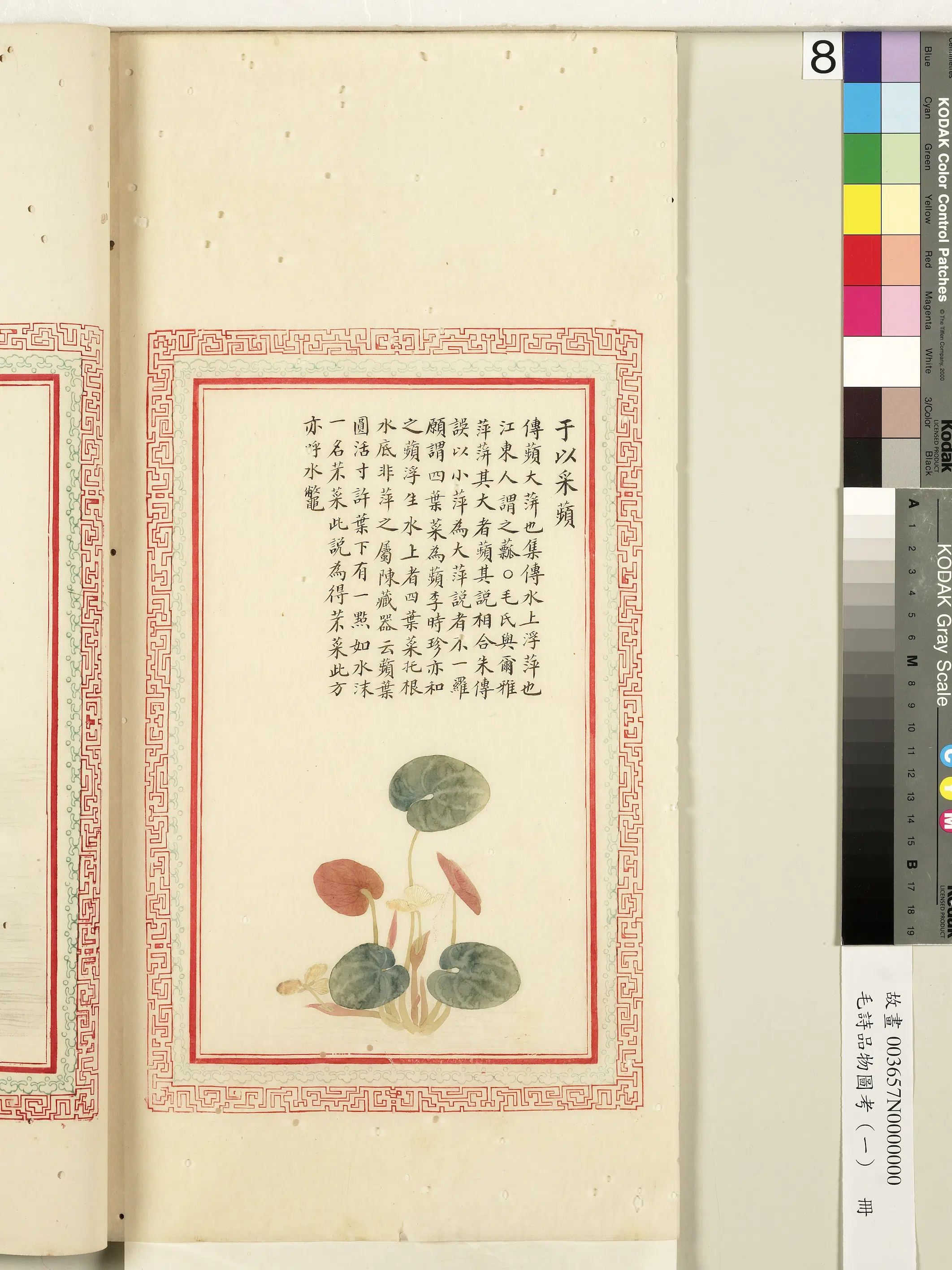 清朝《毛诗品物图考(一)册-2》 第8张 清朝《毛诗品物图考(一)册-2》 第8张