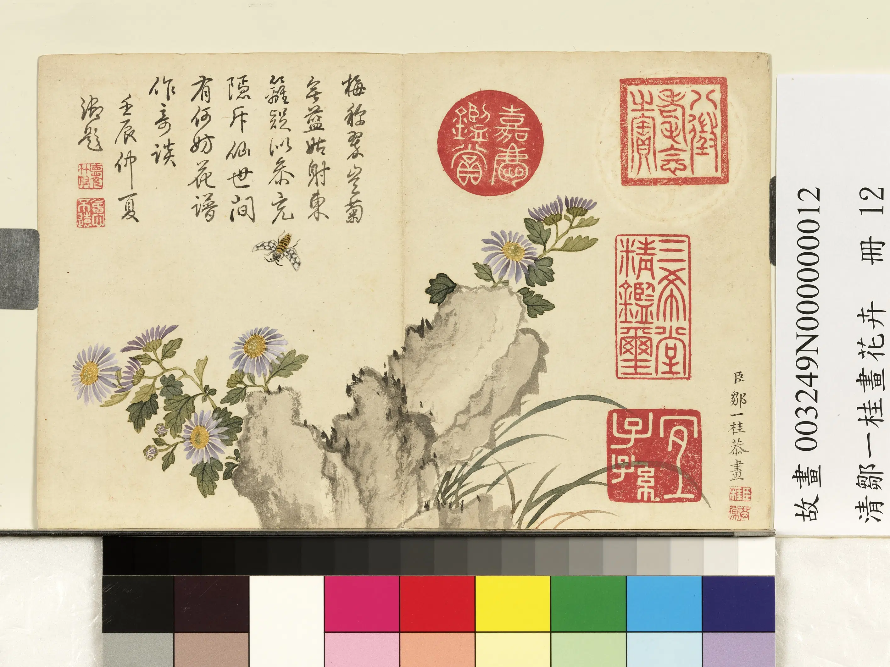 清代【邹一桂】《画花卉册-蓝菊》