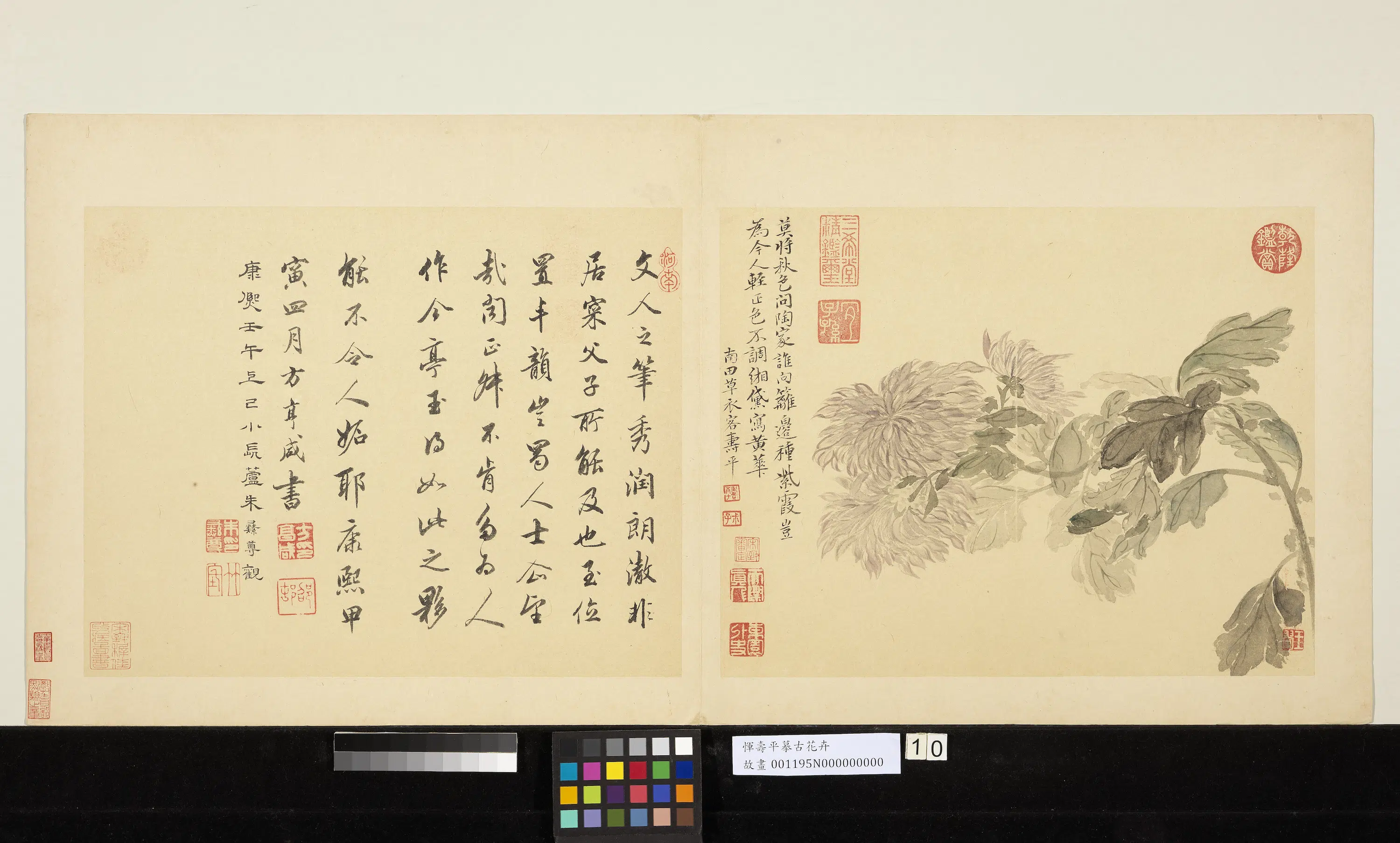 清代【恽寿平】《摹古册-菊花》