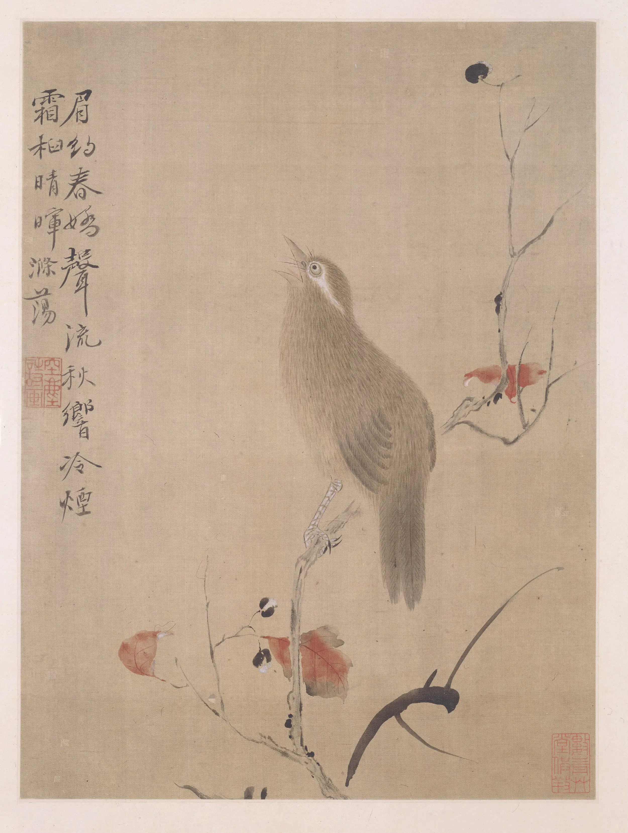 清代【华喦（华岩)】《写生花鸟草虫册》