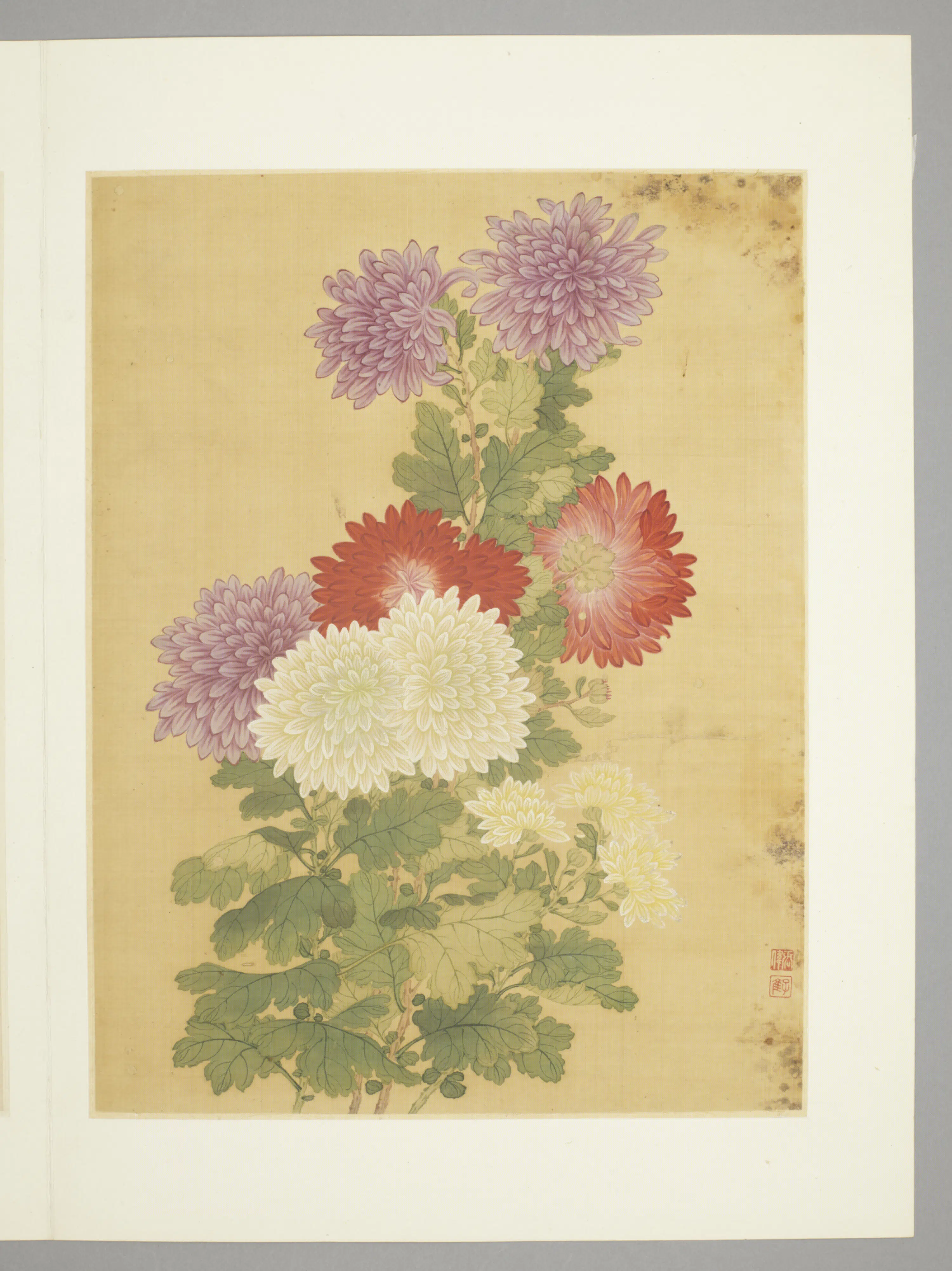 清代【张伟】《花卉册（9开）》 第1张