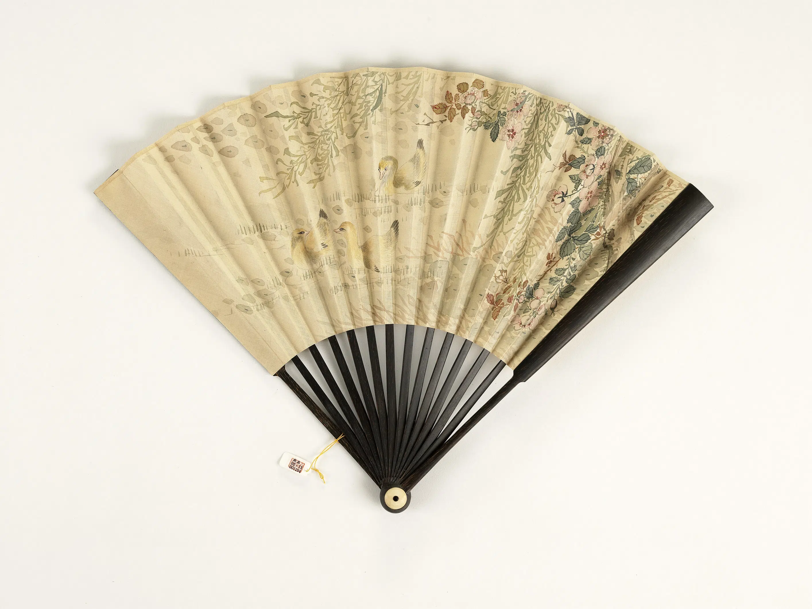 清代《清人花鸟-成扇-37》