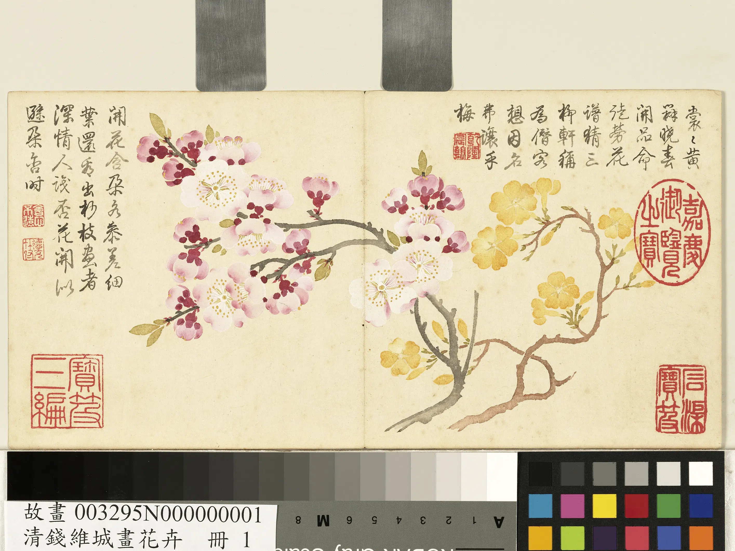 清代【钱维城】《画花卉册-红黄杏花》