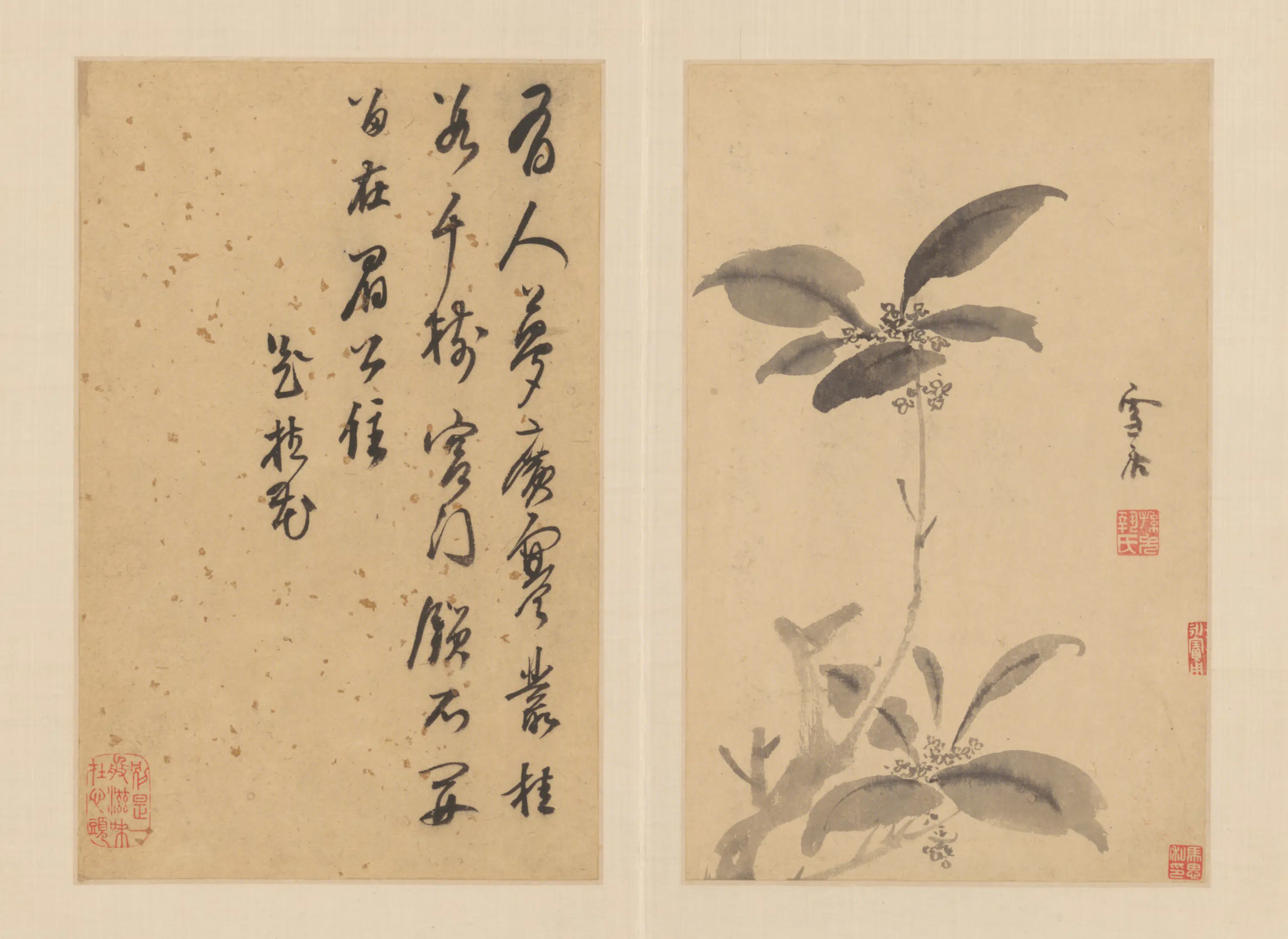 明朝【孙克弘】《花卉图册（11开）》 第5张