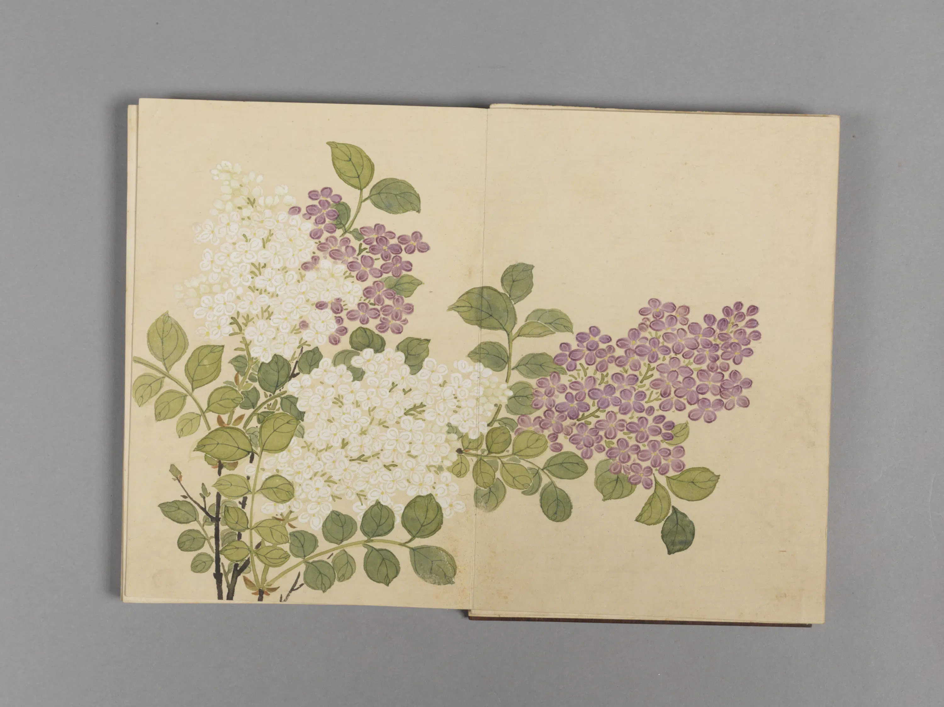 清代【董诰】《花卉小册（16开）》 第3张