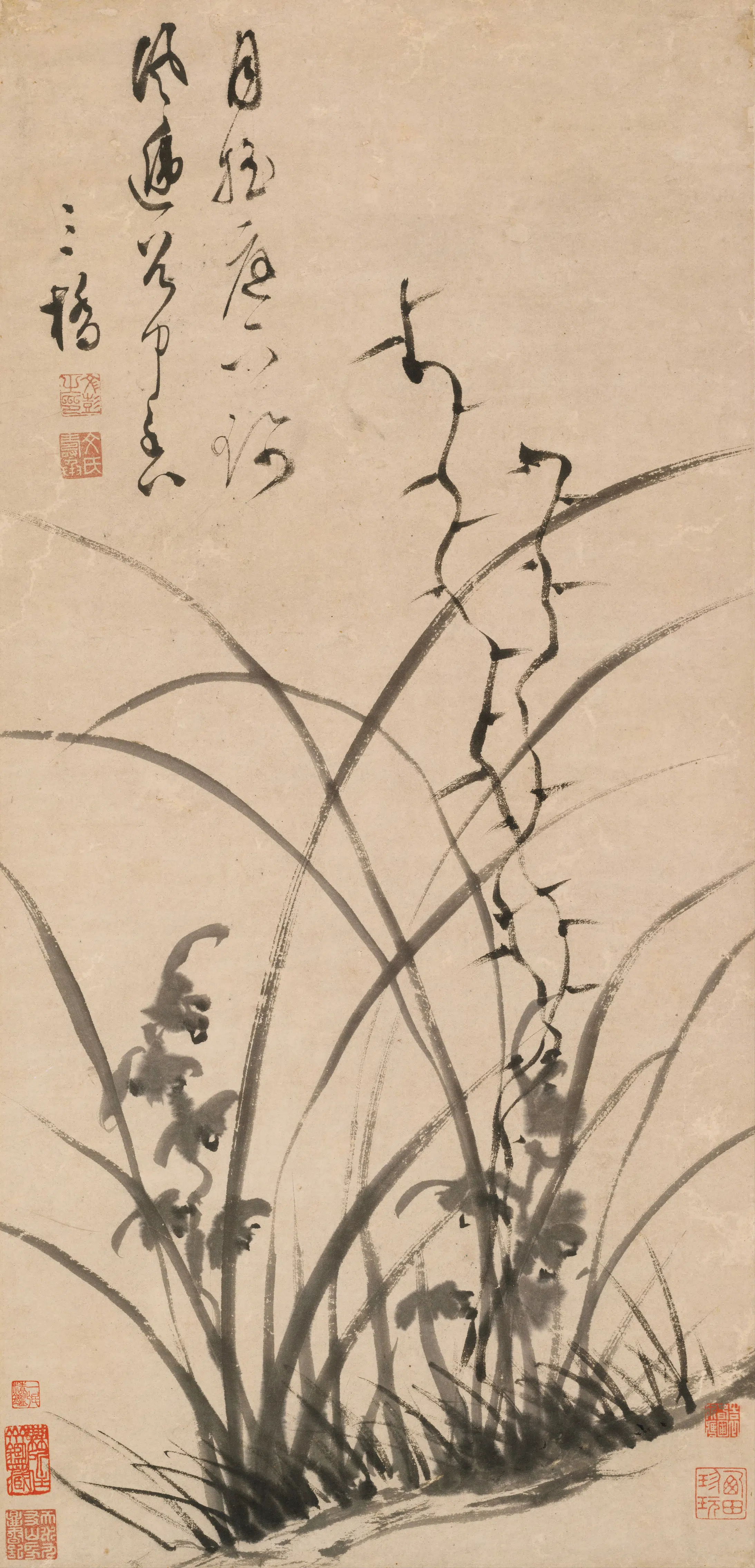 明朝【文彭】《兰花图》