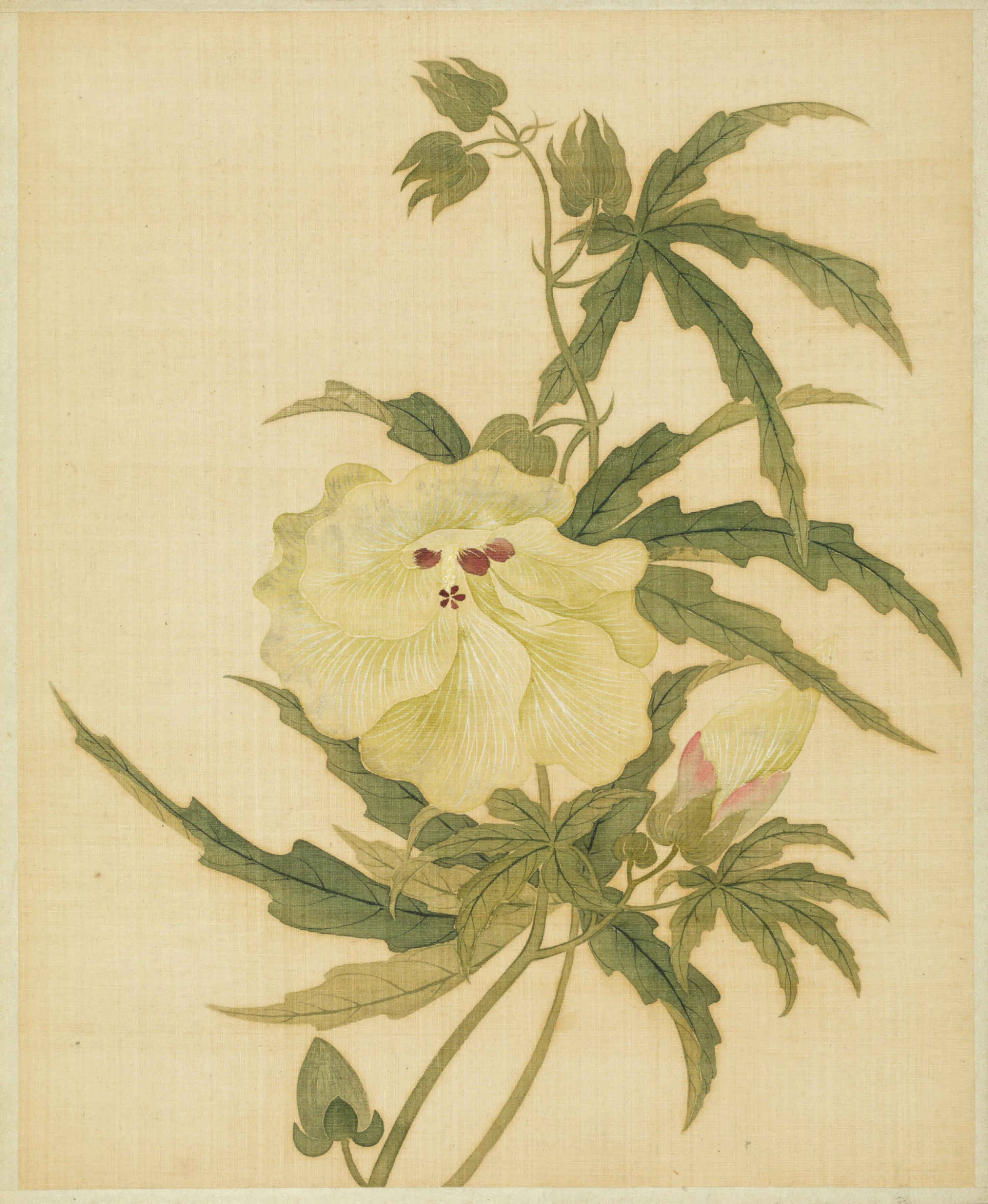 清代【范廷镇】《花卉图册》 第4张