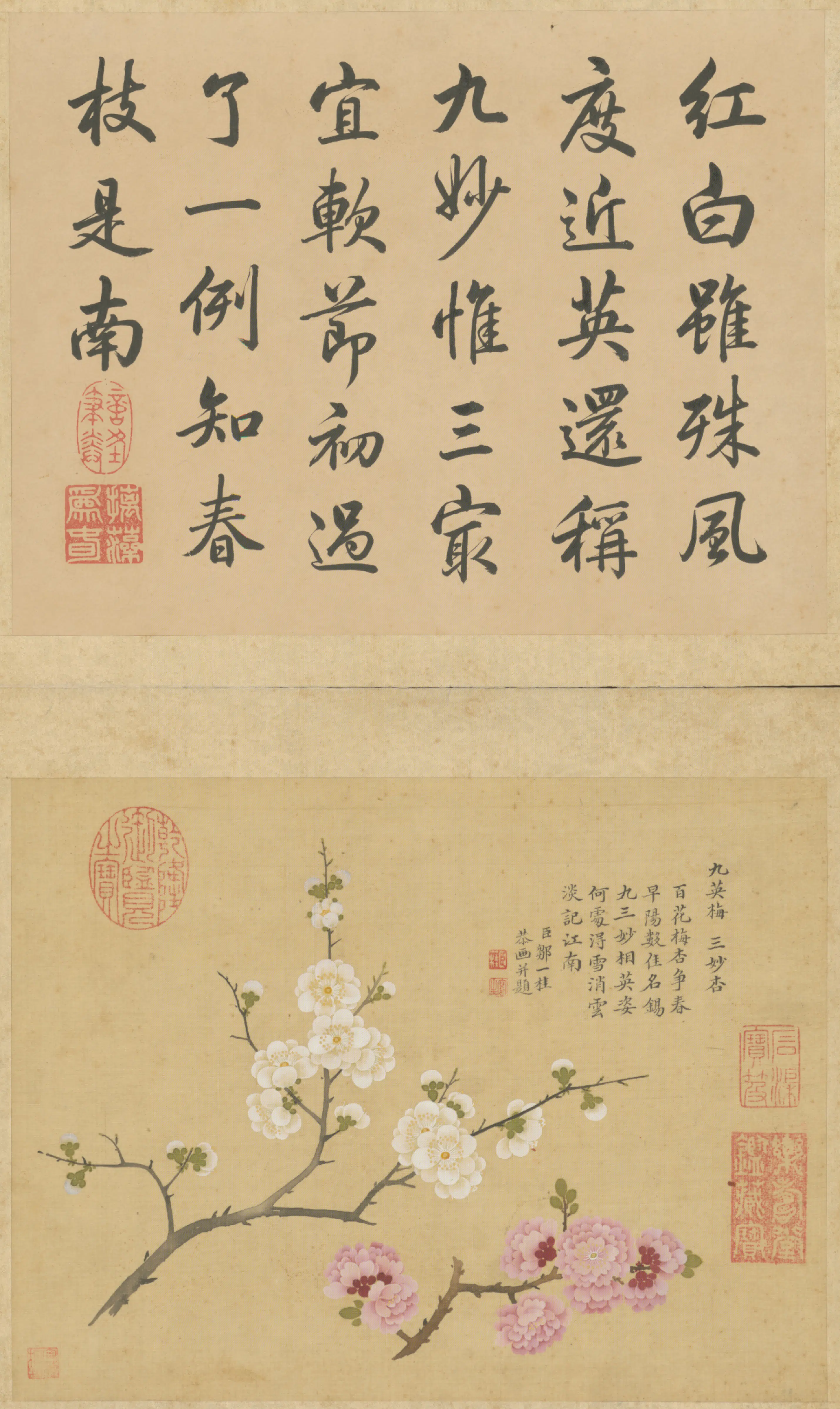 清代【邹一桂】《联芳谱图册》