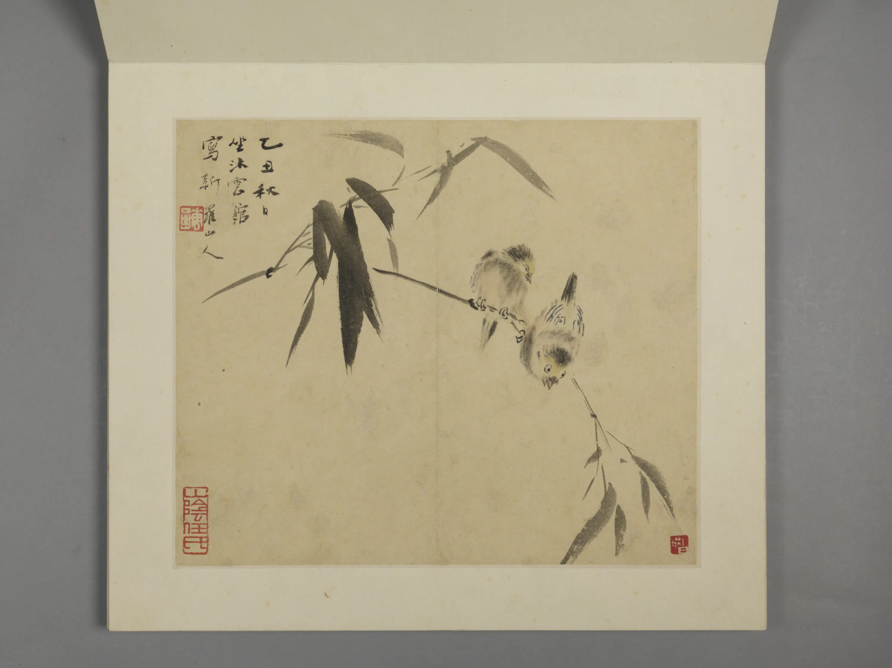 清代【华喦】《花鸟册（8开）》 第4张