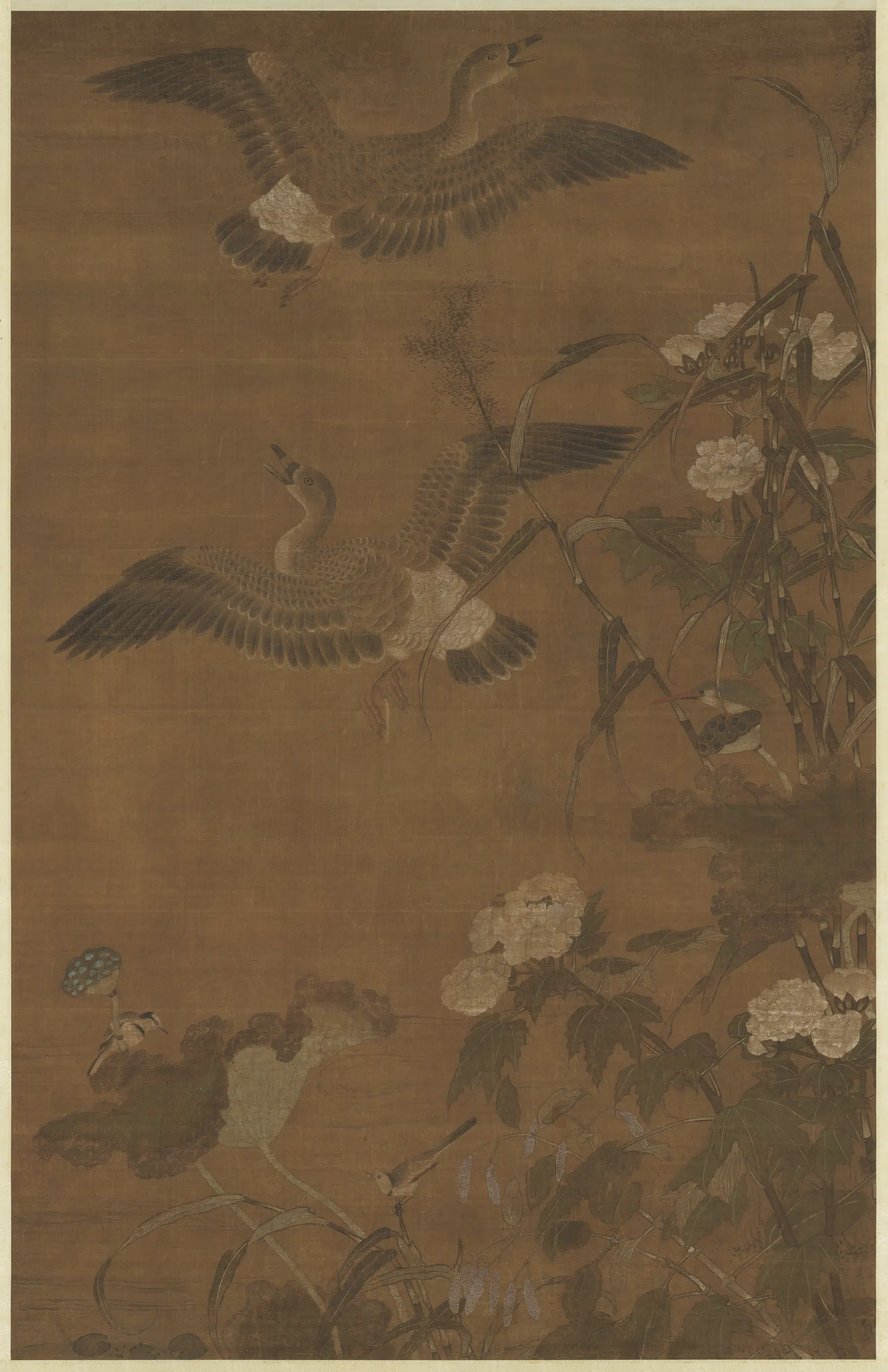 北宋【崔白】《秋浦蓉宾图》