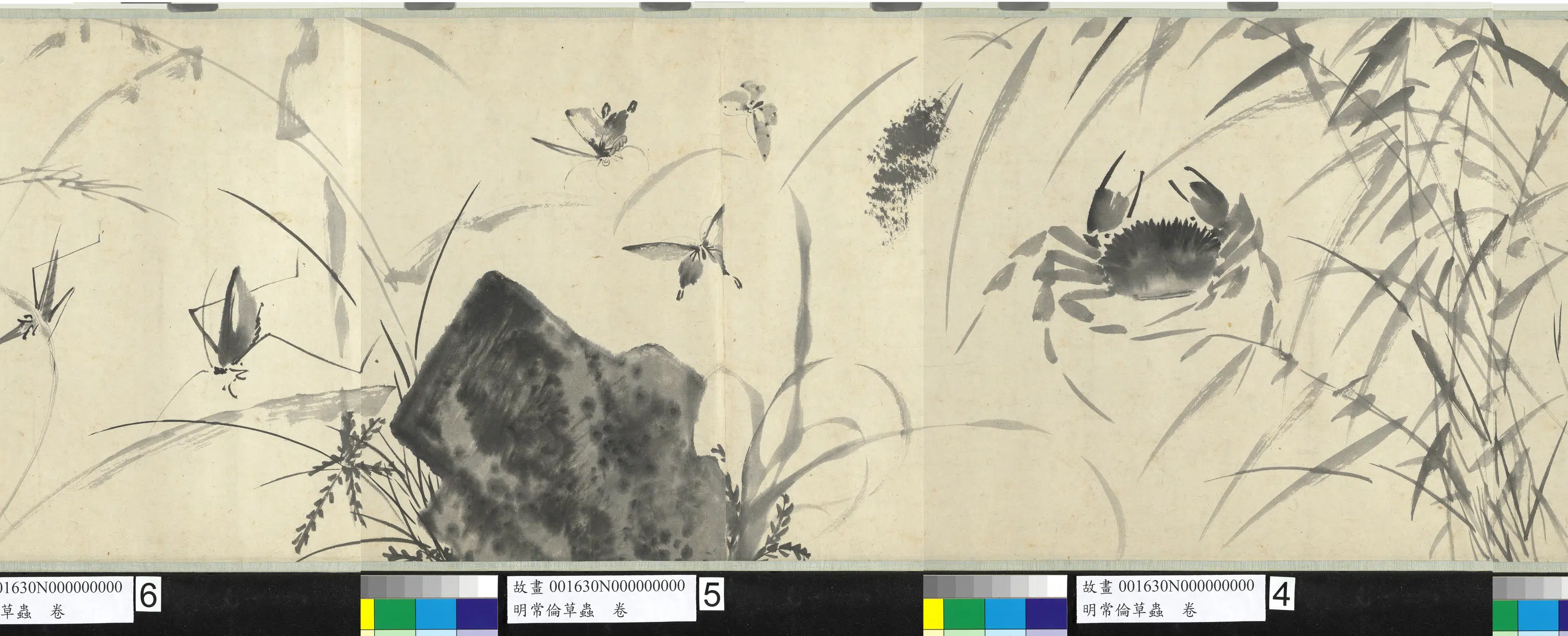 明朝【常伦】《草虫图卷》 第3张